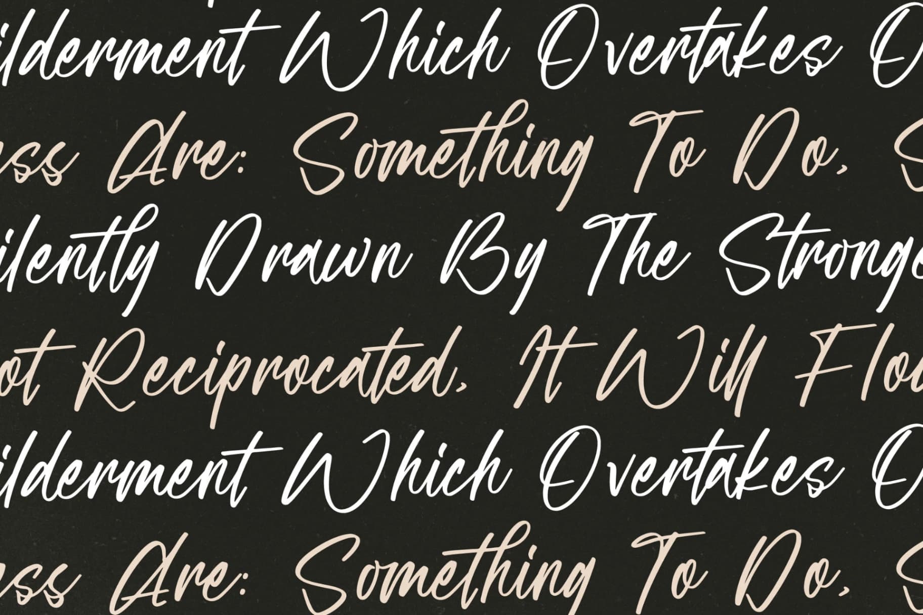 Preview 9 for Emillia Sartory – Modern Script Font