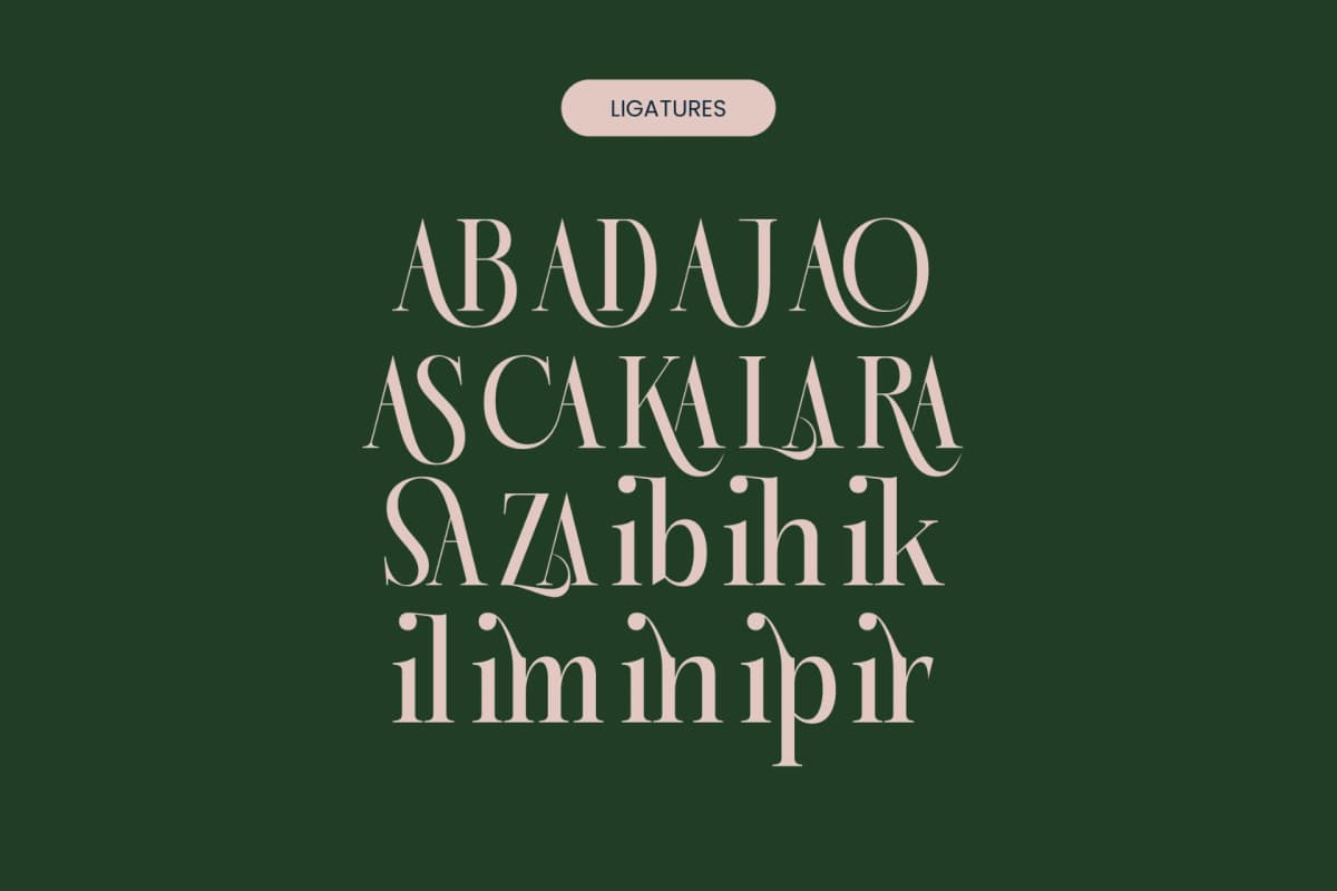 Karosa - Modern Serif Font font preview 17