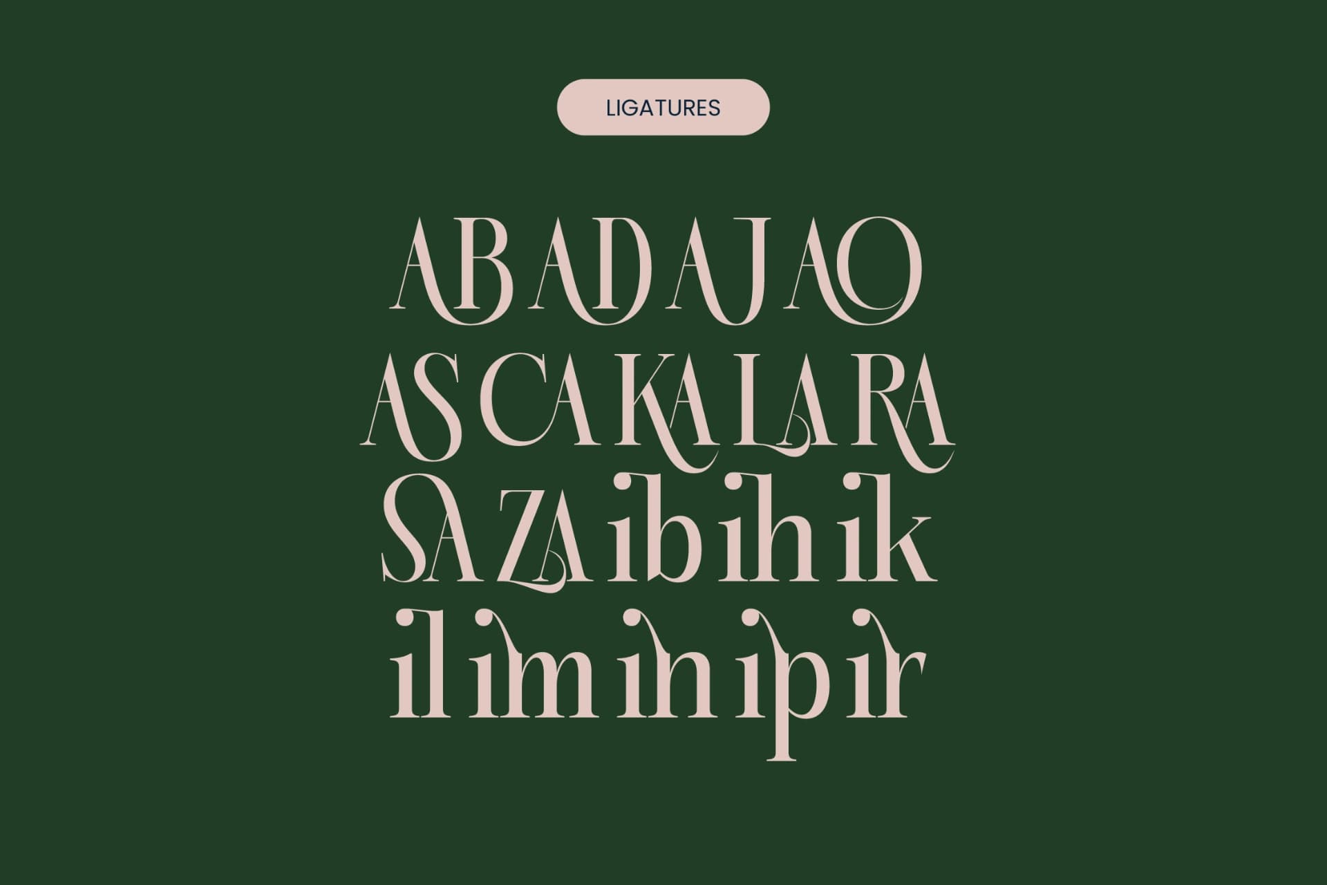Preview 17 for Karosa - Modern Serif Font