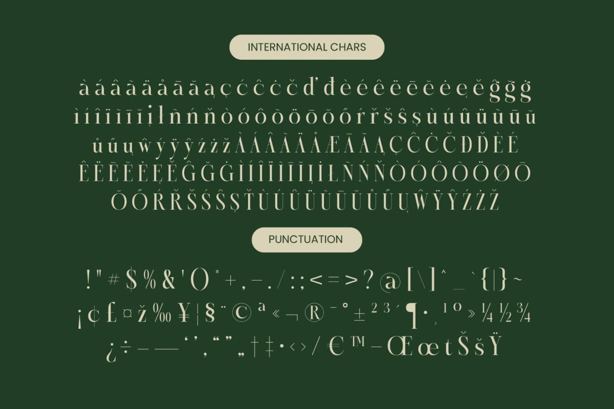 Karosa - Modern Serif Font font preview 19