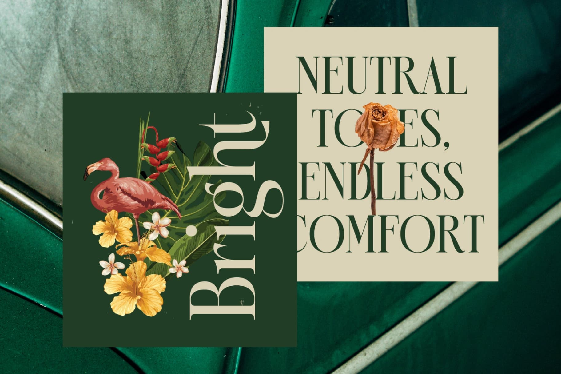 Preview 9 for Karosa - Modern Serif Font