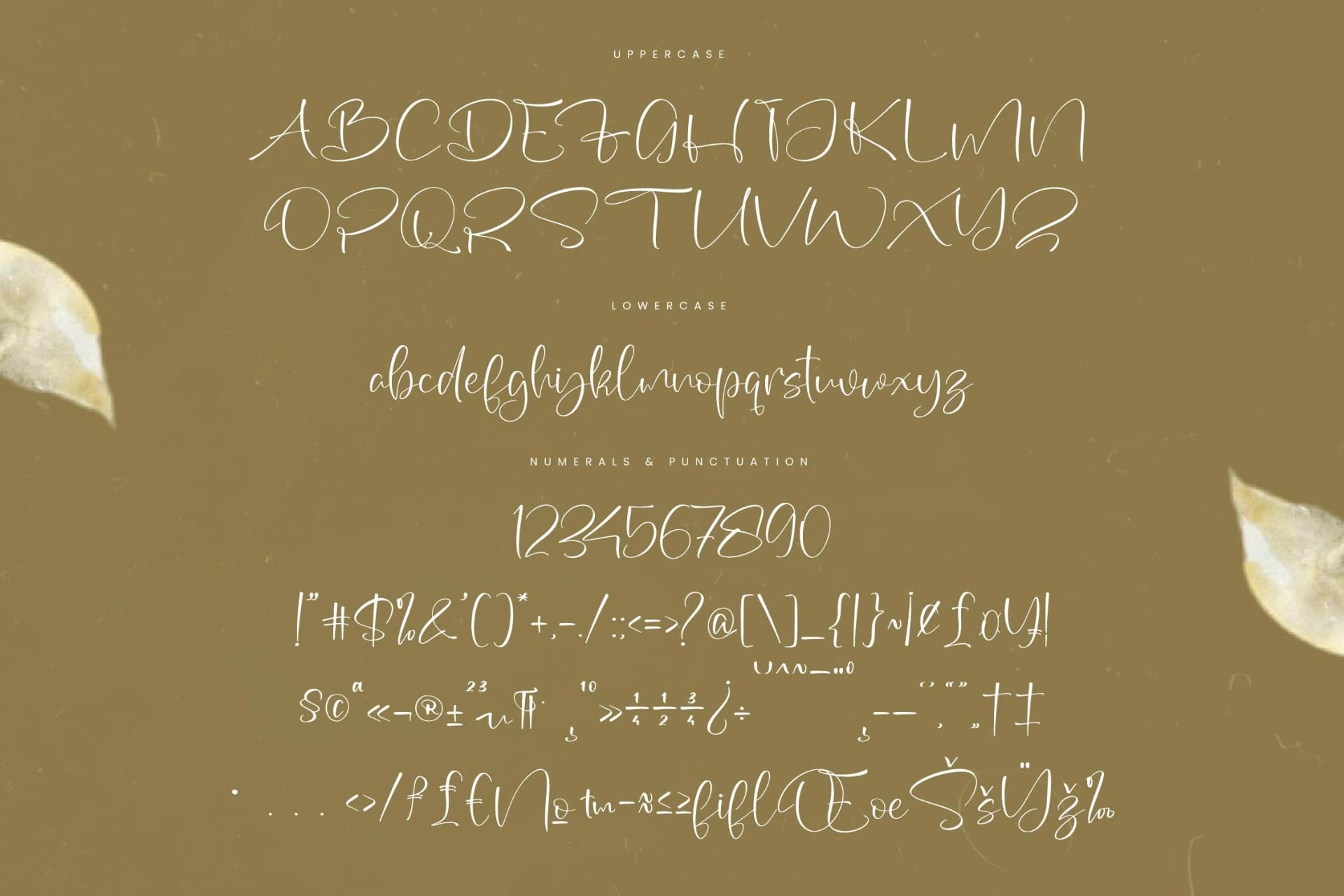 Preview 13 for Wildlife Nature – Freestyle Stylish Font