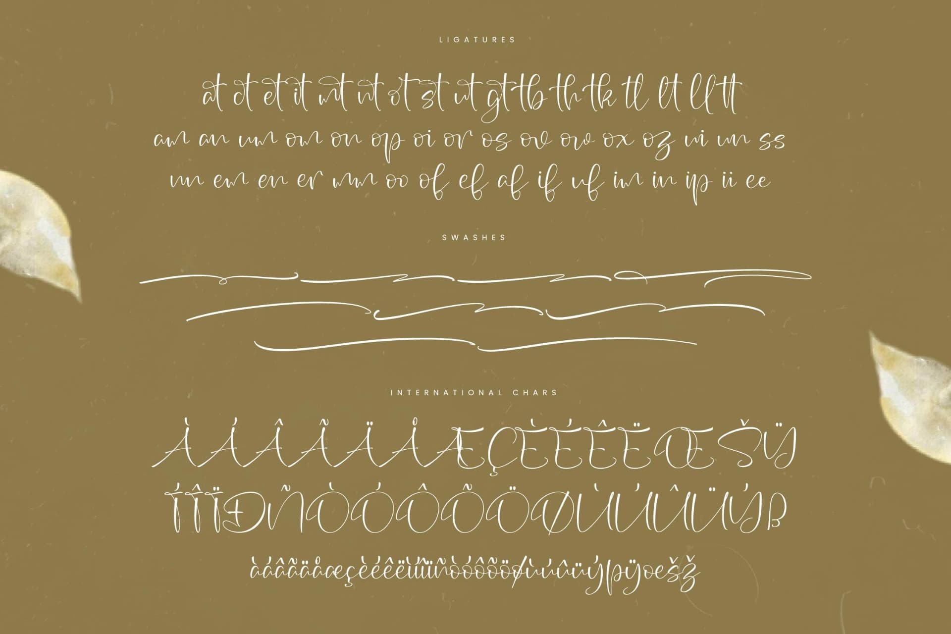 Preview 14 for Wildlife Nature – Freestyle Stylish Font