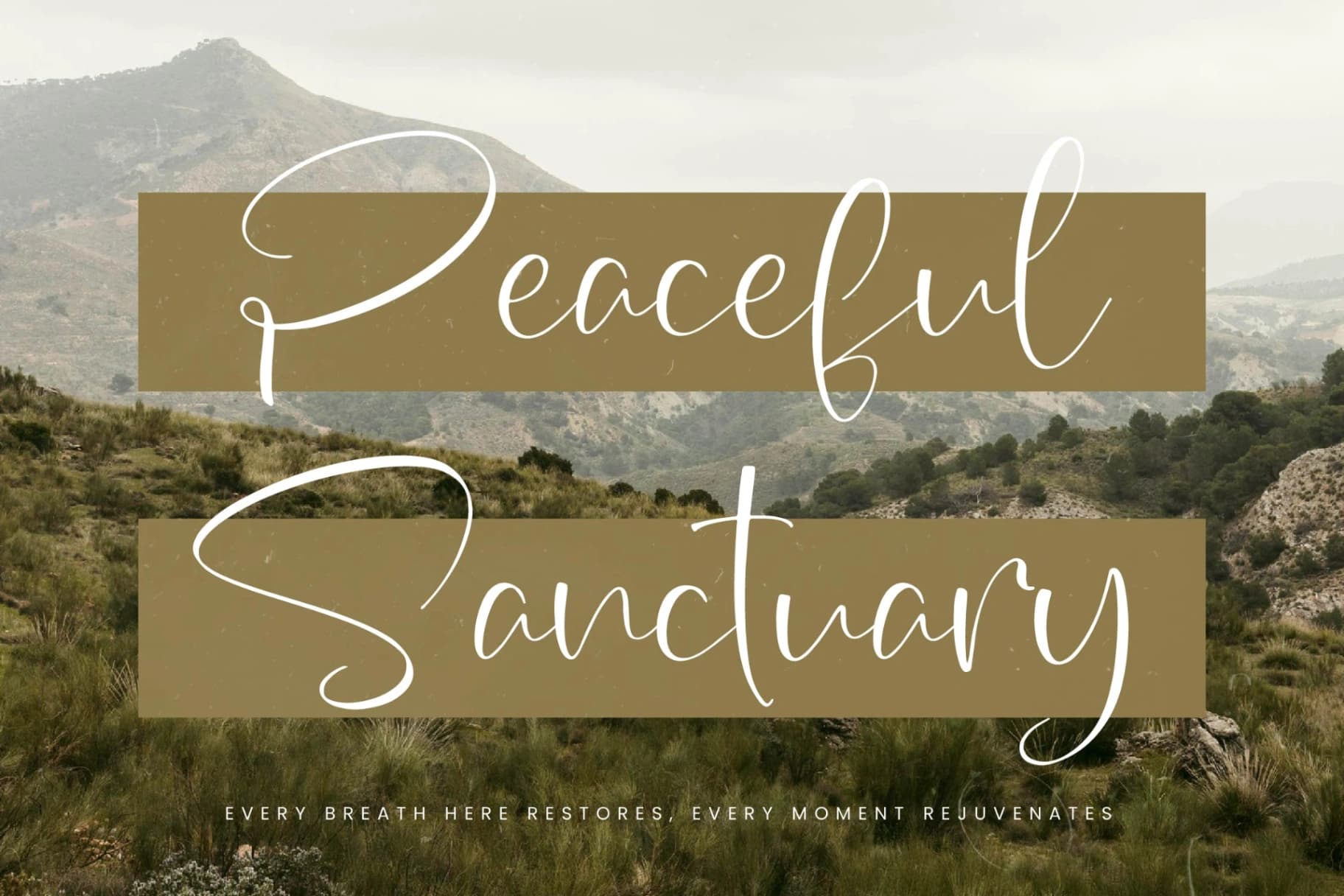 Preview 9 for Wildlife Nature – Freestyle Stylish Font