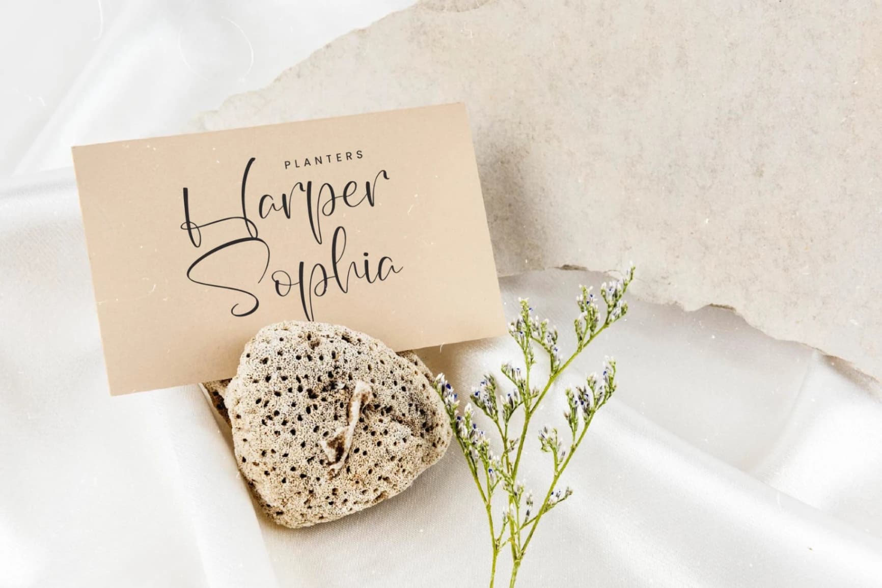 Preview 7 for Wildlife Nature – Freestyle Stylish Font