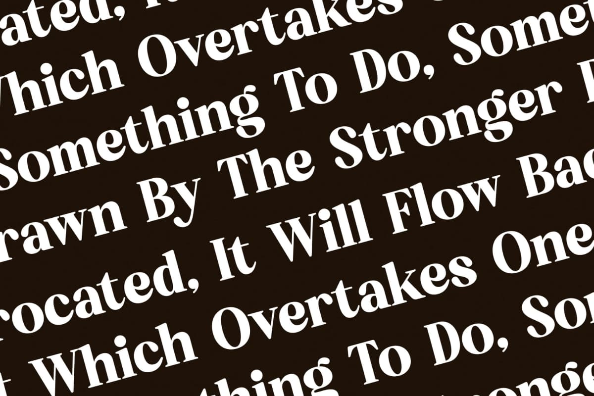 Bredga – Decorative Serif Font font preview 9