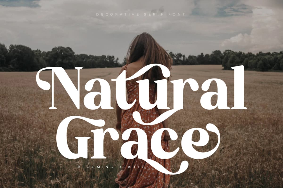 Bredga – Decorative Serif Font font preview 10