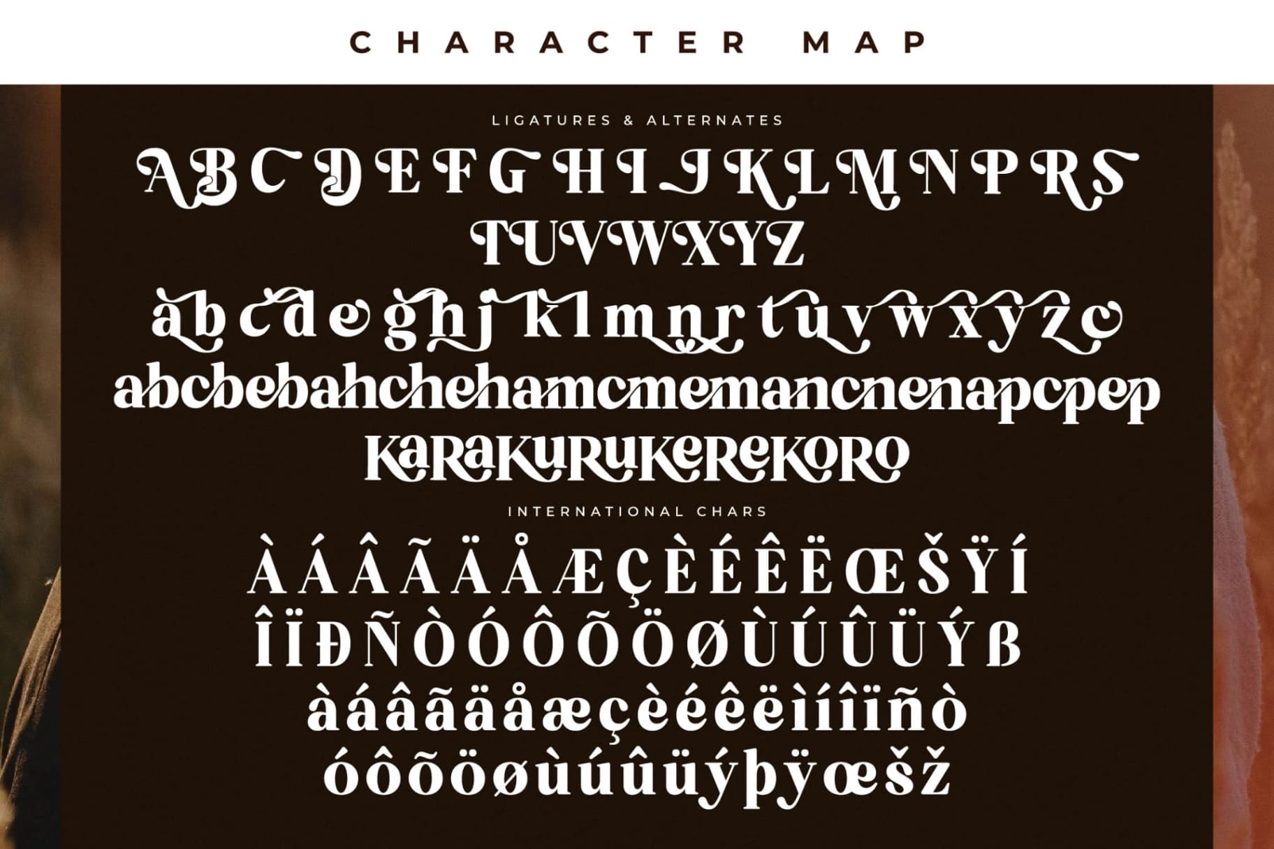 Preview 14 for Bredga – Decorative Serif Font