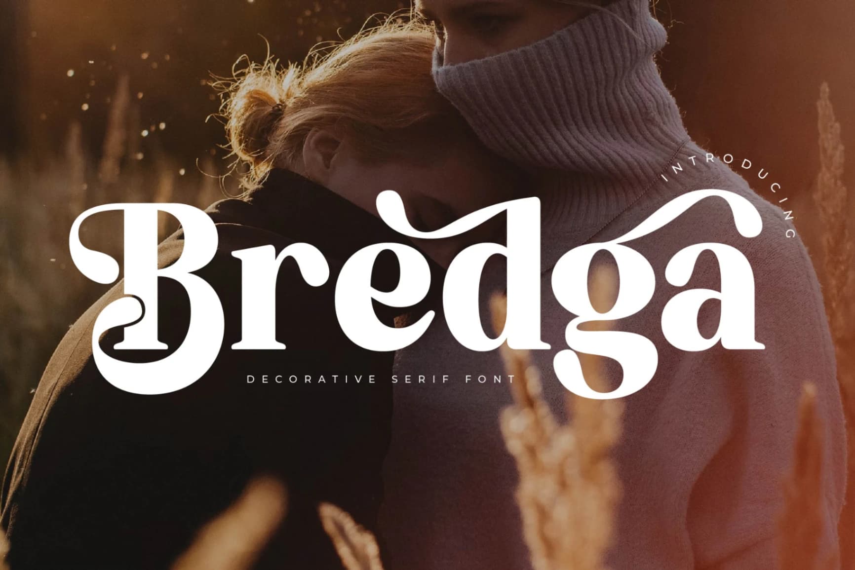 Preview of Bredga – Decorative Serif Font font
