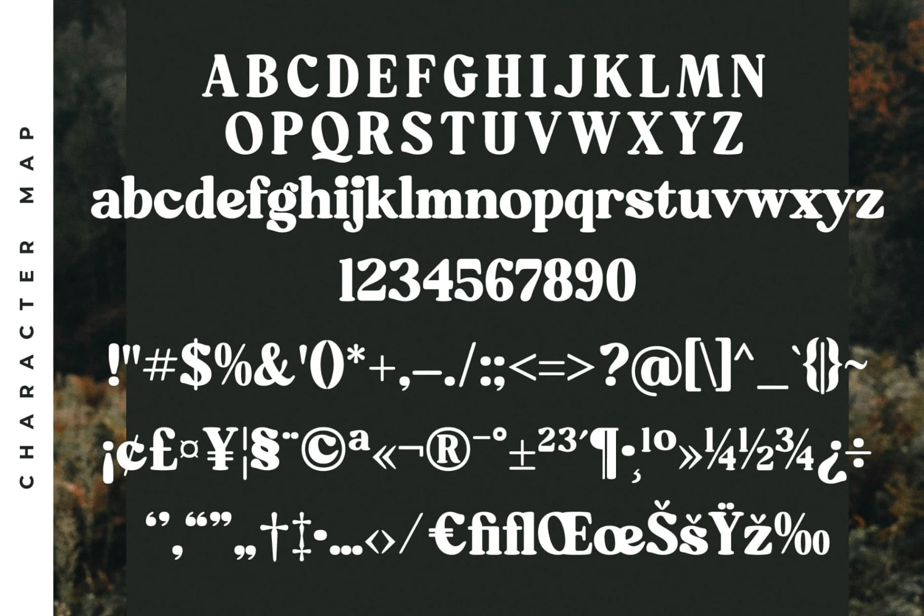 Preview 13 for Mistys Relrica – Modern Retro Serif