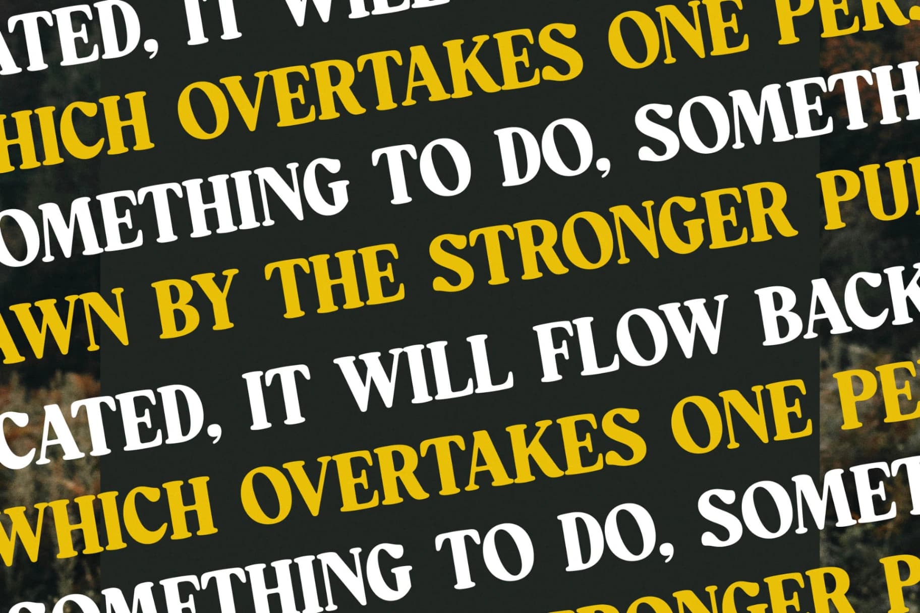 Preview 9 for Mistys Relrica – Modern Retro Serif