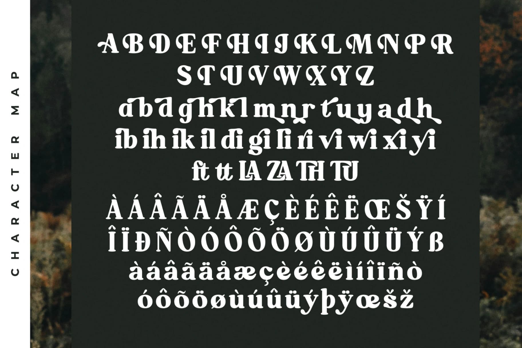 Preview 14 for Mistys Relrica – Modern Retro Serif