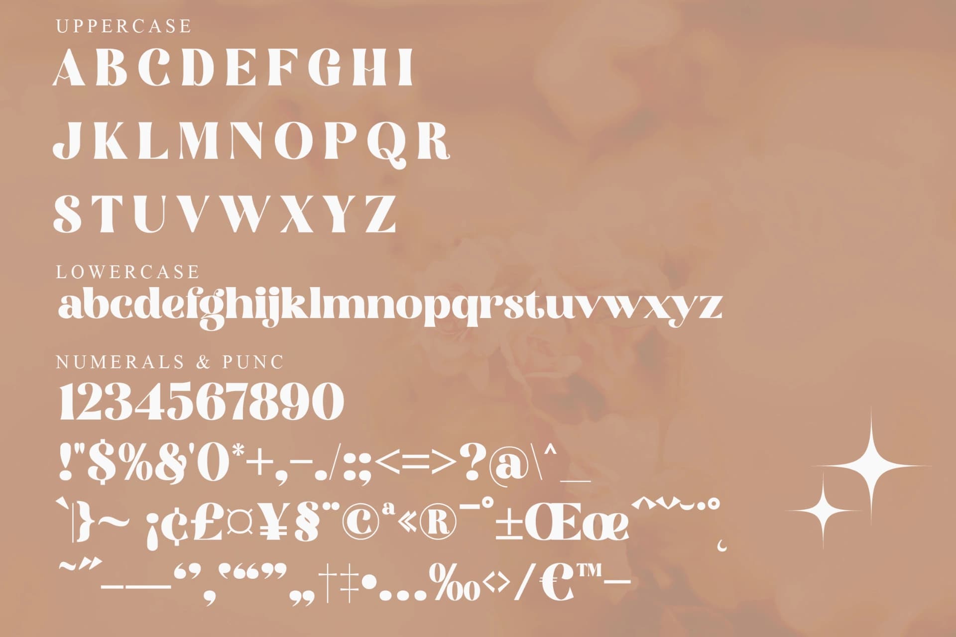 Preview 13 for Florals Bright - Serif Vintage Display