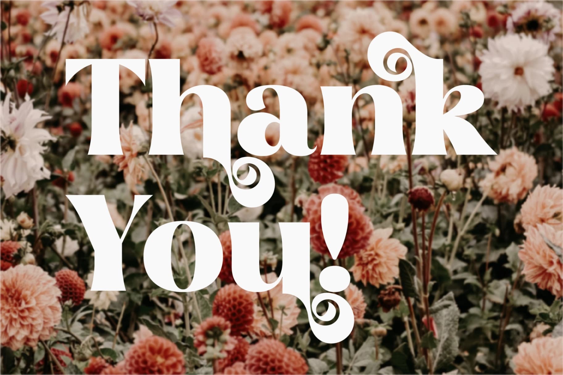 Preview 15 for Florals Bright - Serif Vintage Display