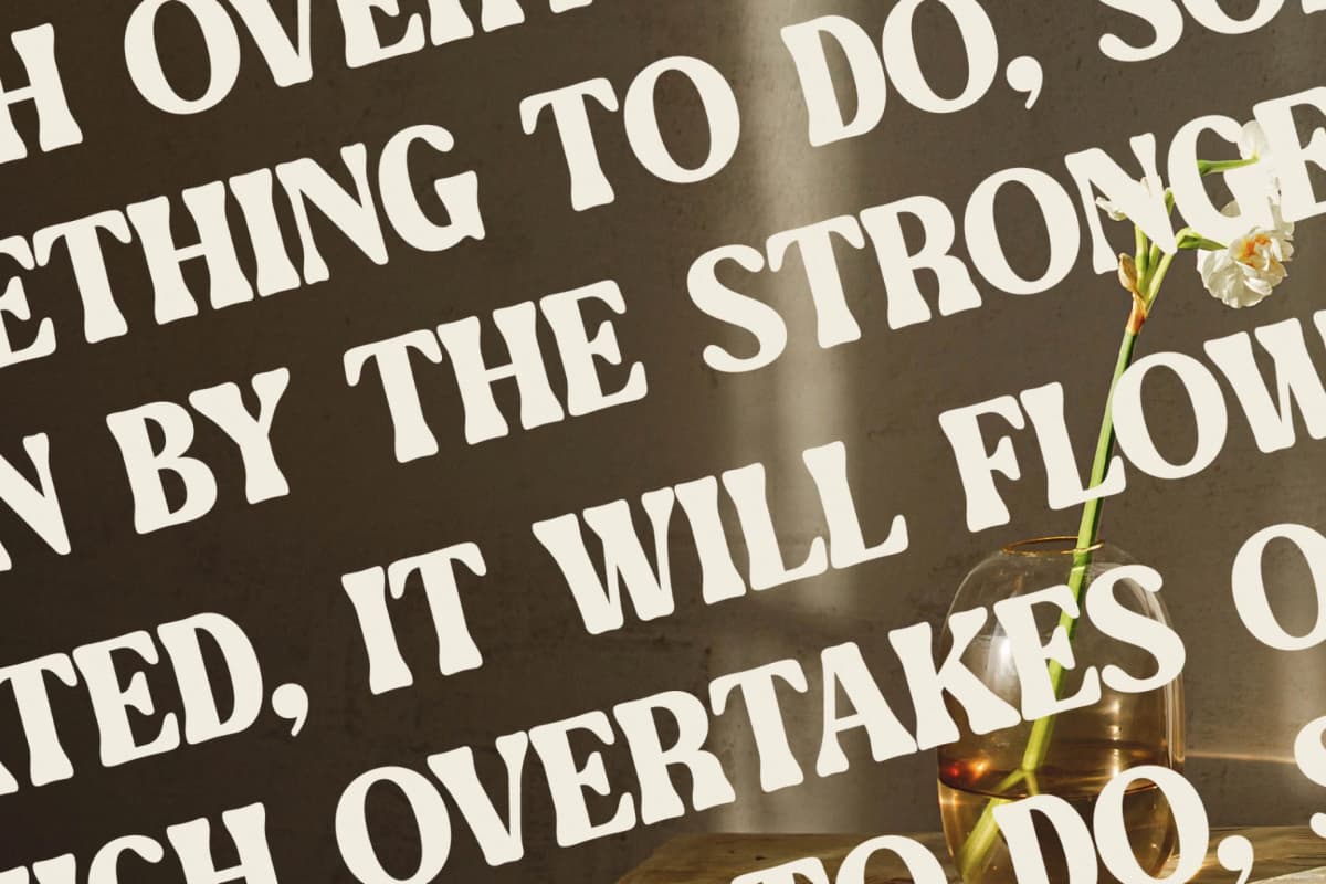 Mebtho Francy - Vintage Display Font font preview 9