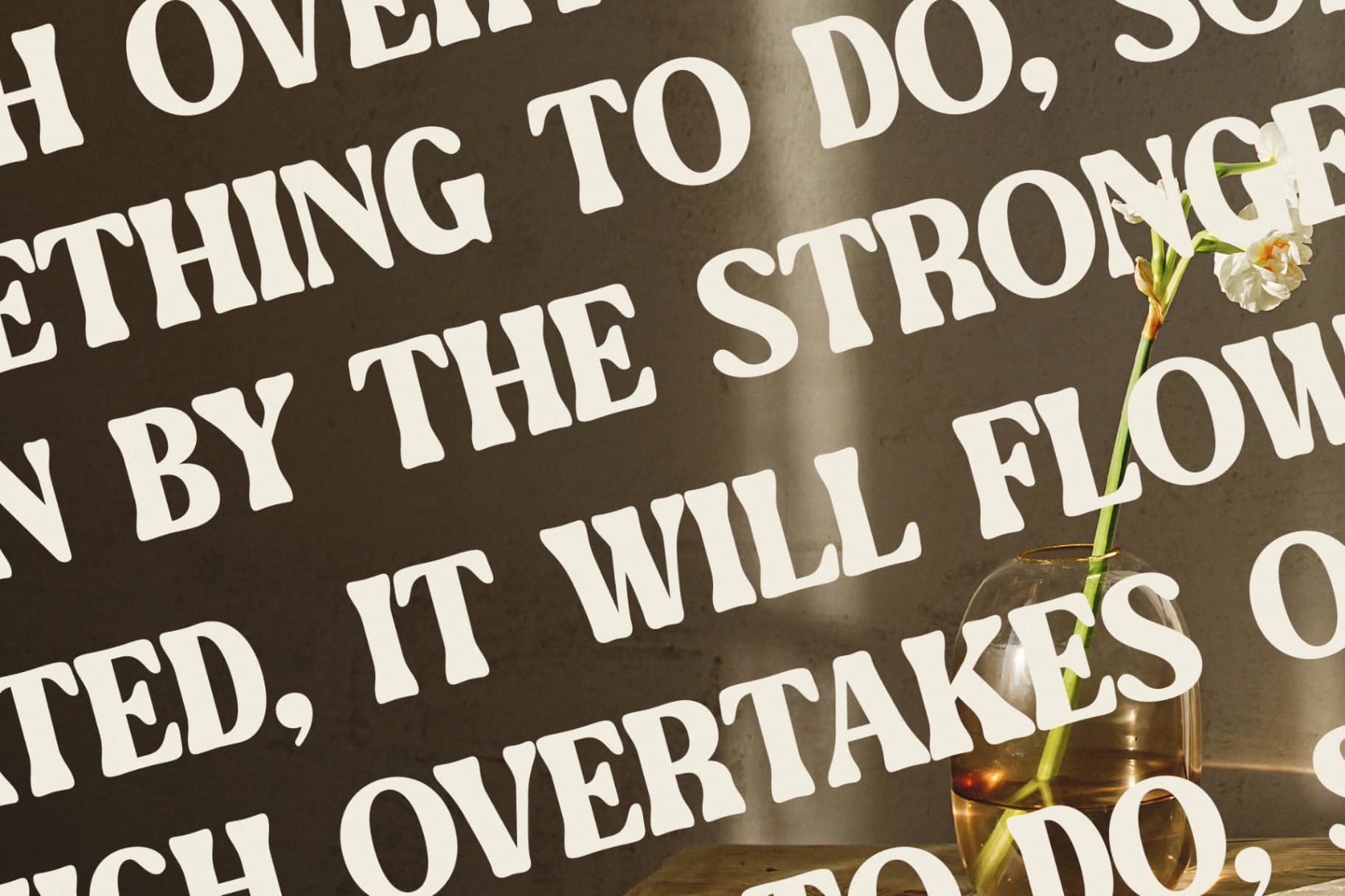Preview 9 for Mebtho Francy - Vintage Display Font