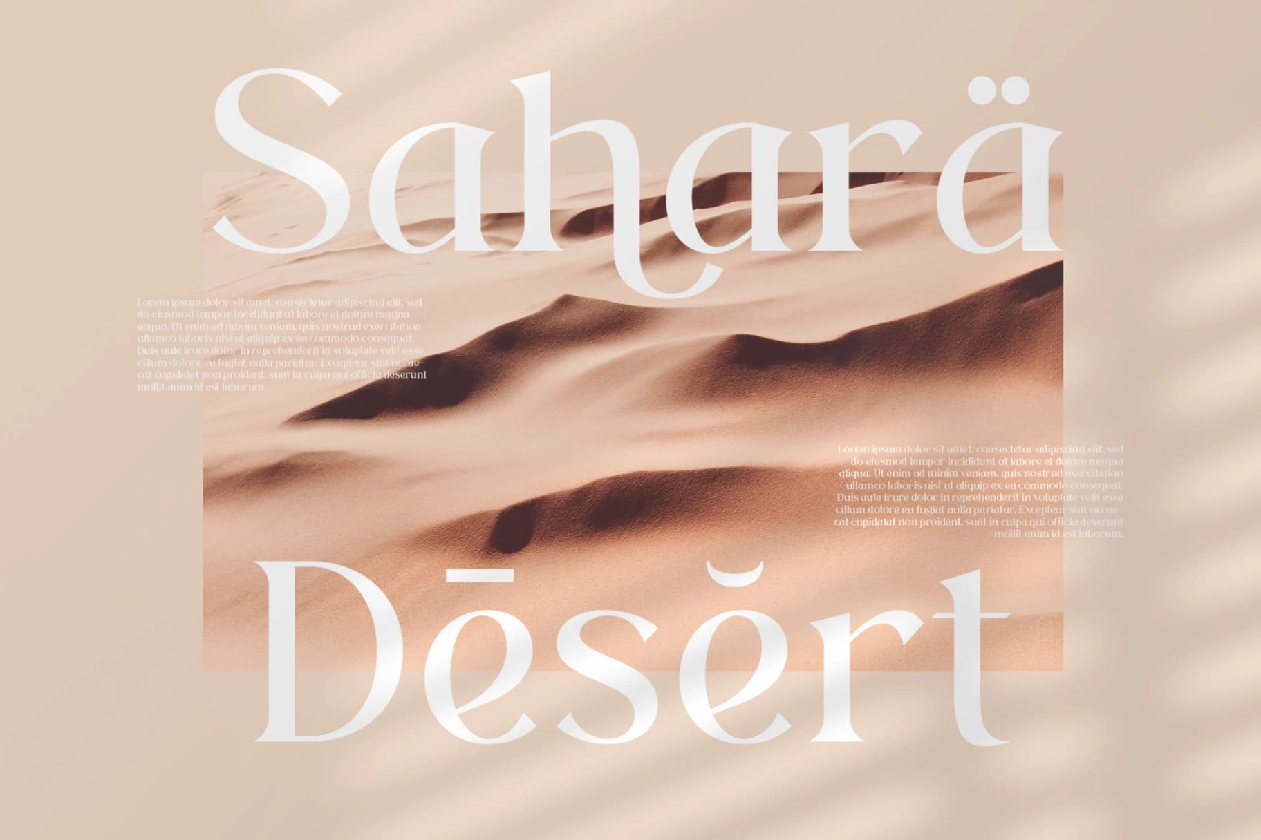 Preview 7 for Rosha Keylin - Modern Serif Font