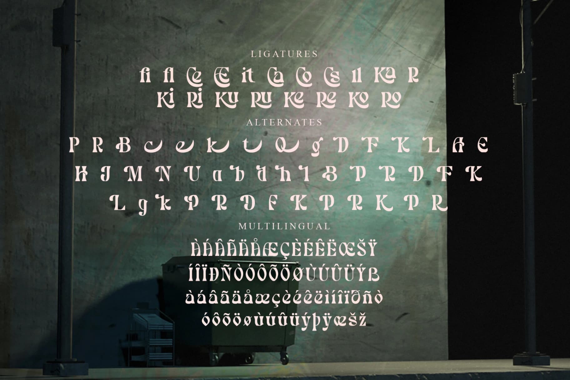 Preview 14 for Bradley - Modern Serif Font