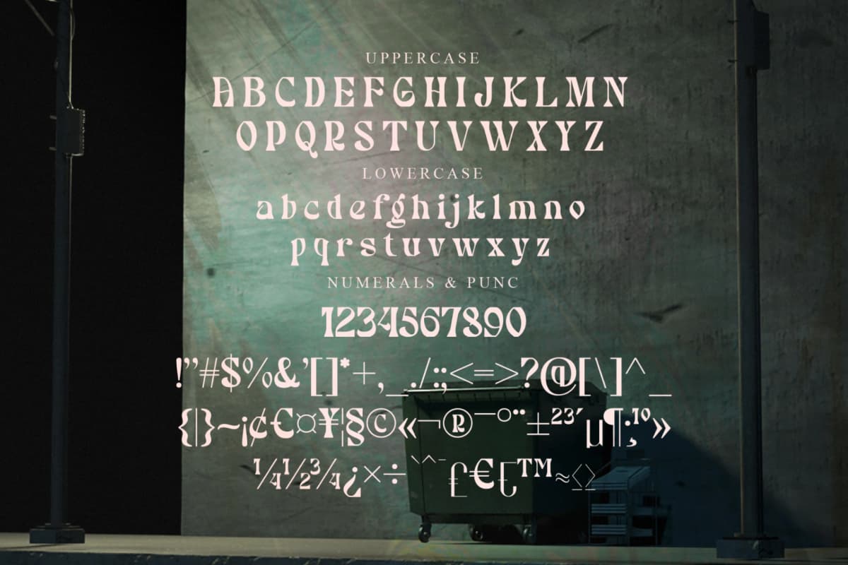 Bradley - Modern Serif Font font preview 13