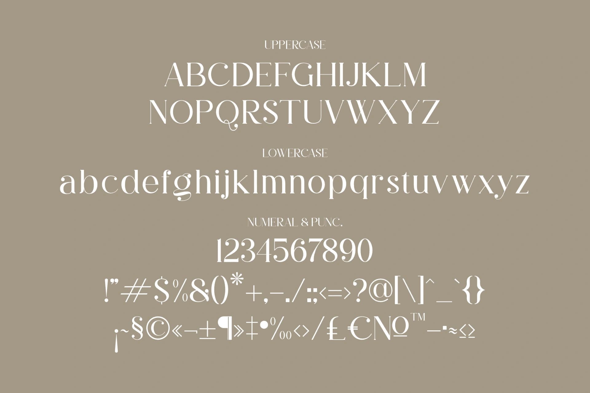 Preview 13 for Rihena - Modern Serif Font