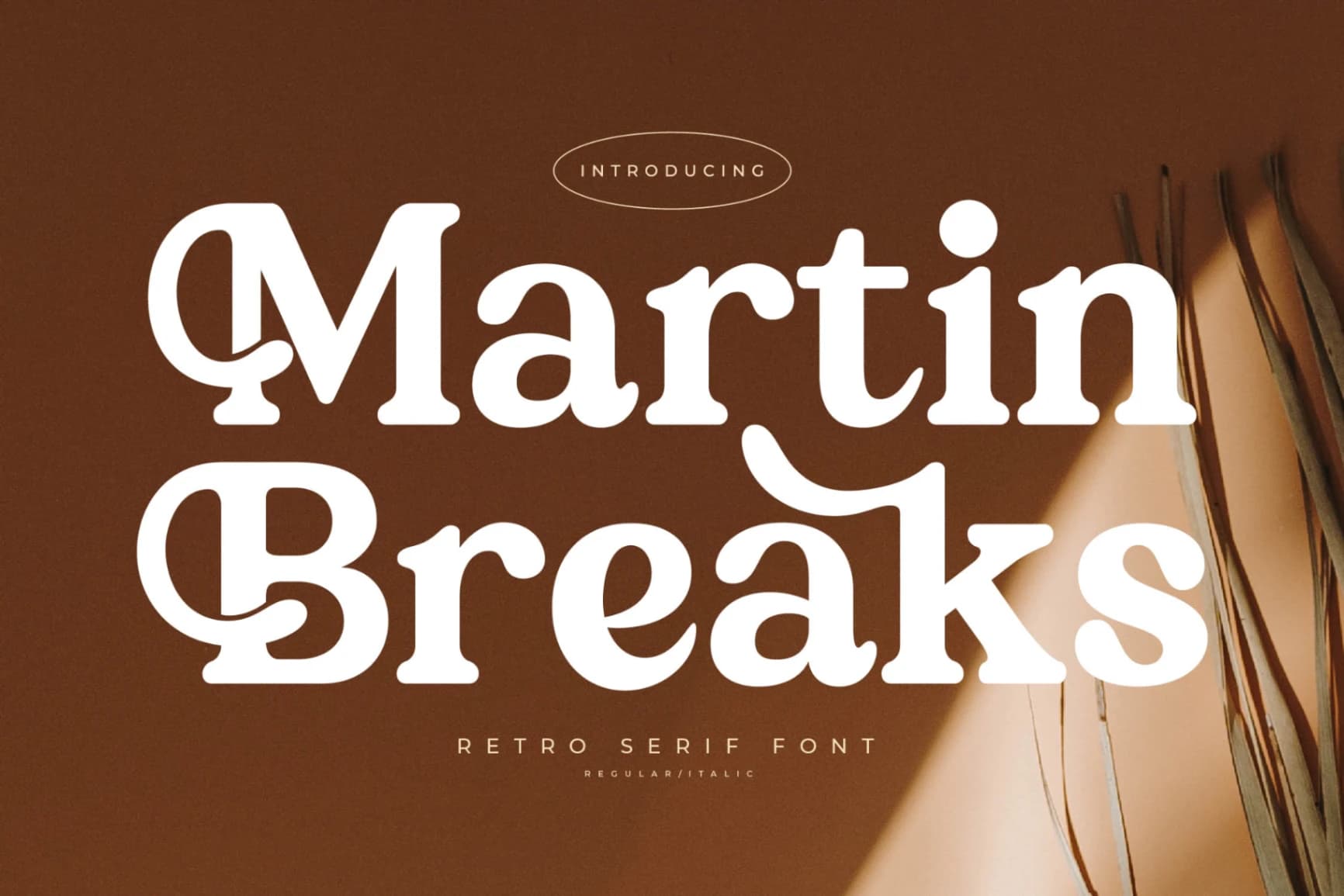 Preview of Martin Breaks – Retro Serif Font font