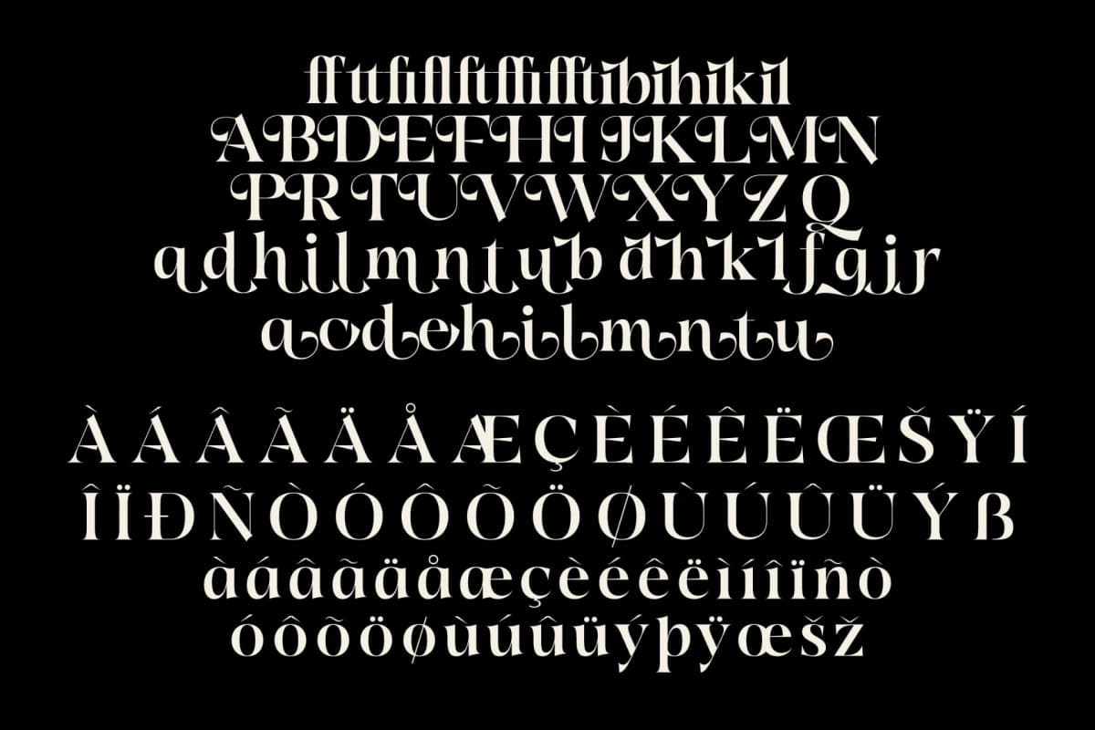 Quilge - Modern Serif font preview 14