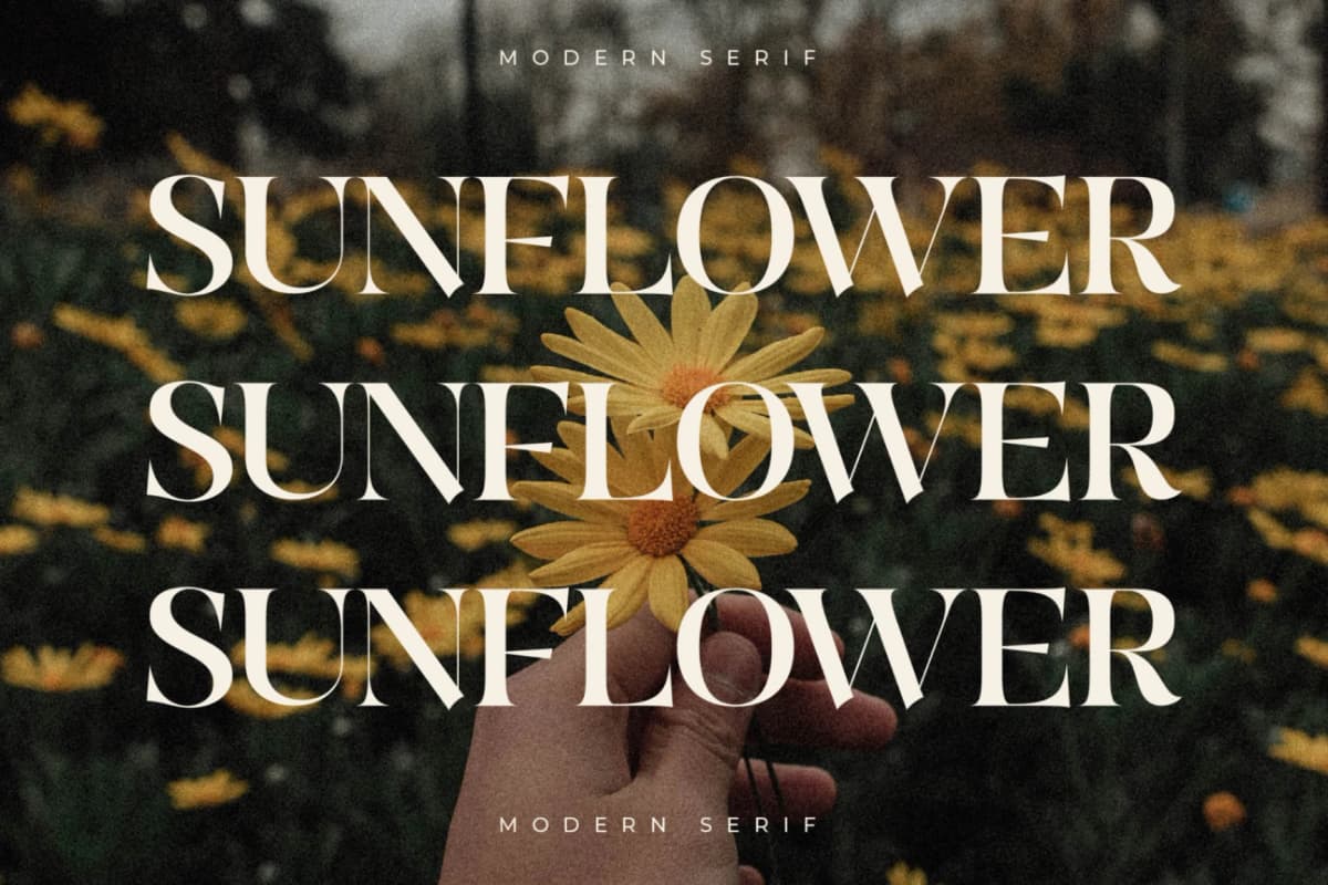 Quilge - Modern Serif font preview 12