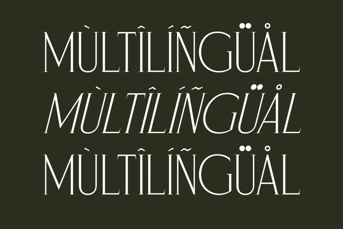 Preview 12 for Magnofia – Modern Serif Font