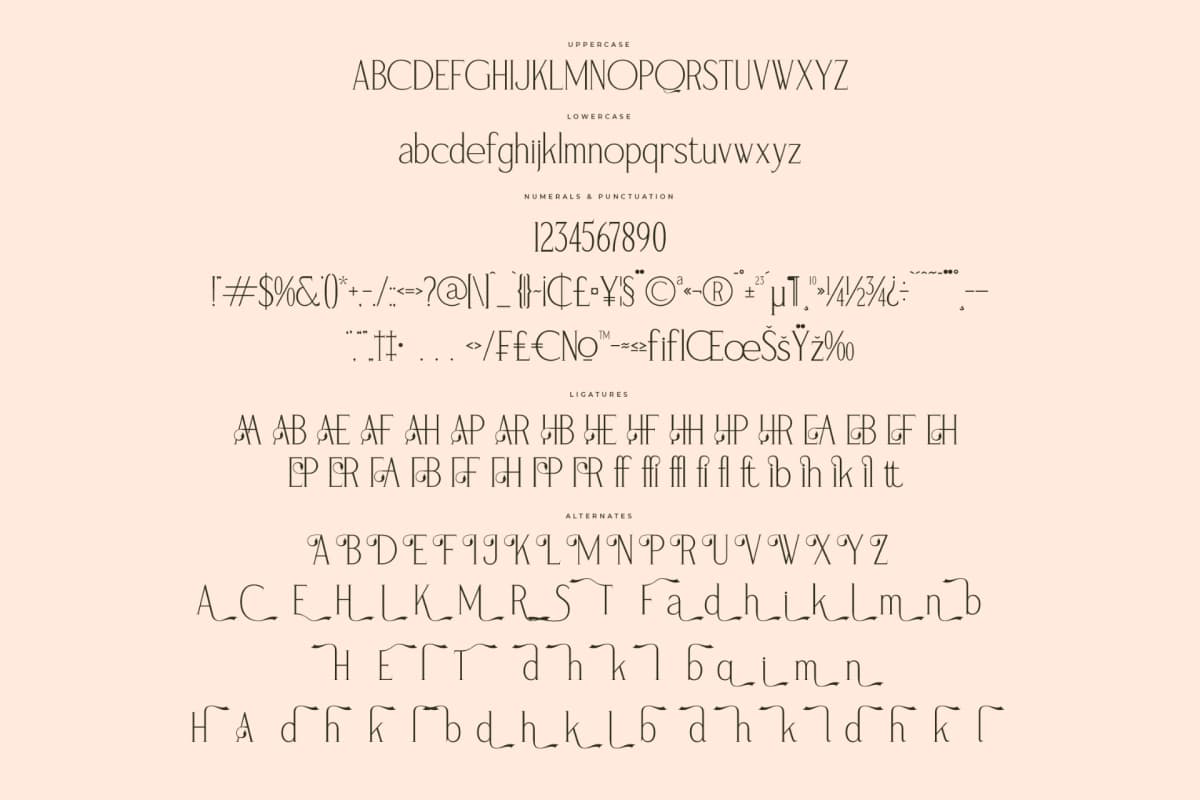 Preview 13 for Magnofia – Modern Serif Font