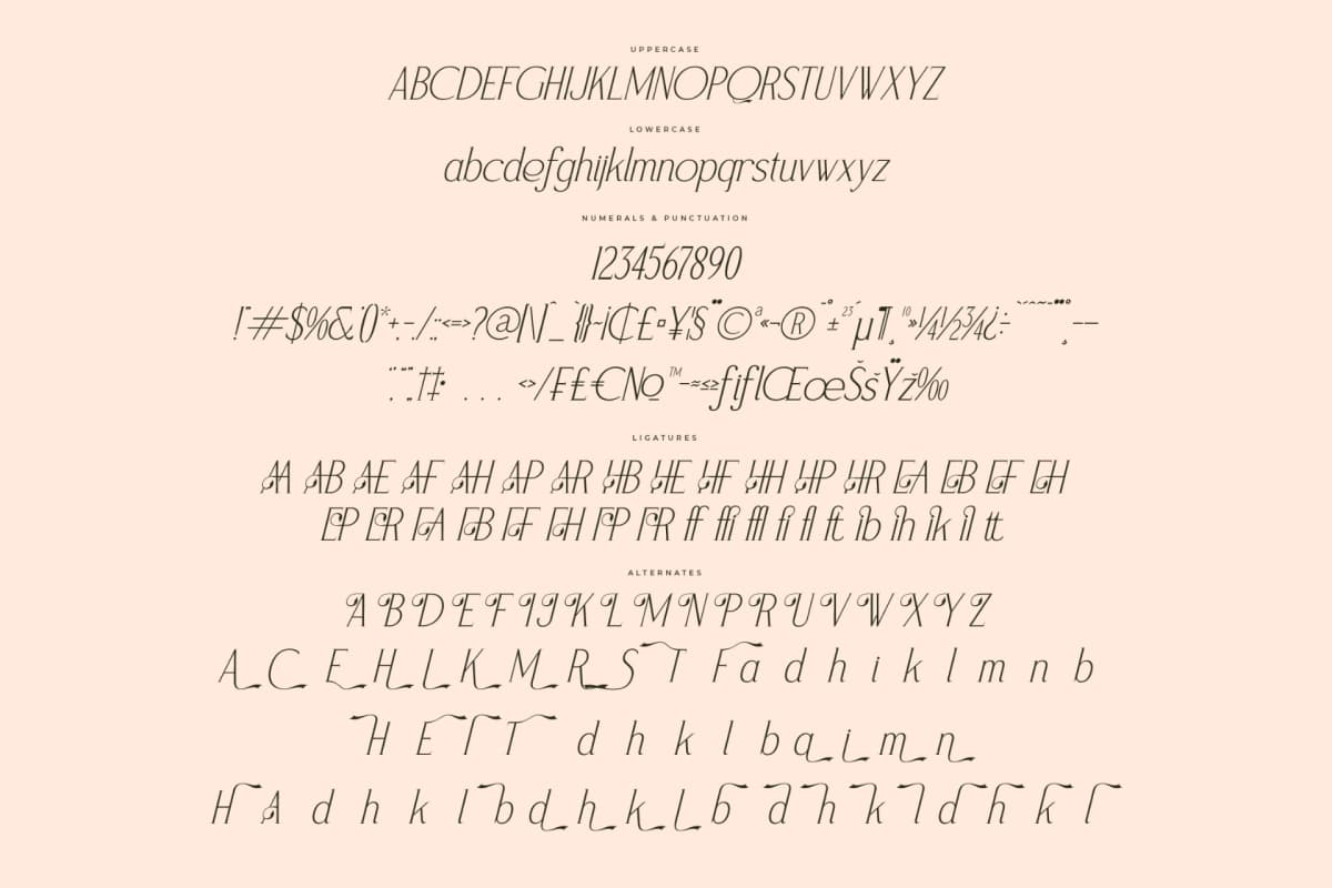 Preview 14 for Magnofia – Modern Serif Font