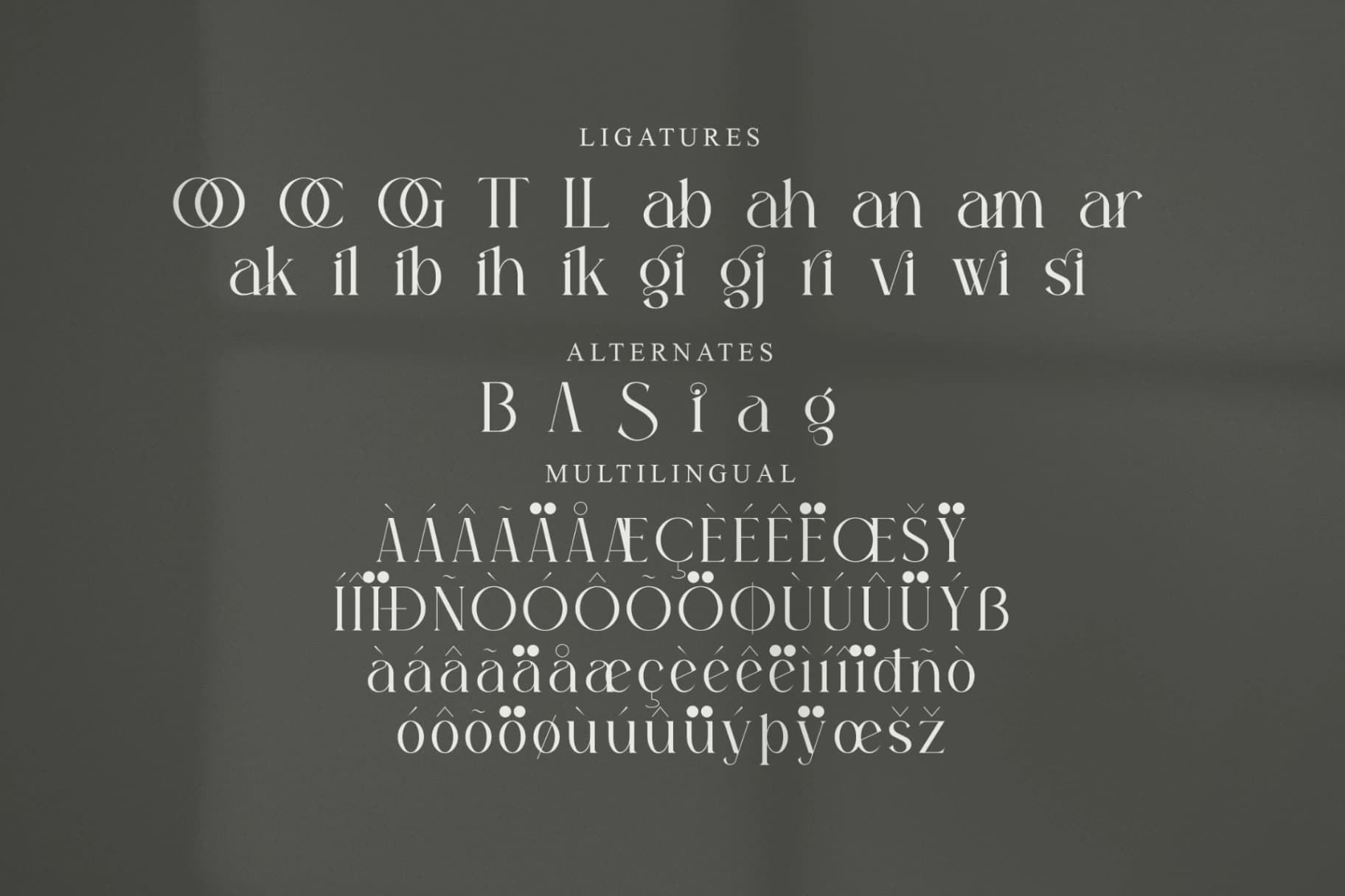 Preview 14 for Sagire - Modern Serif Font