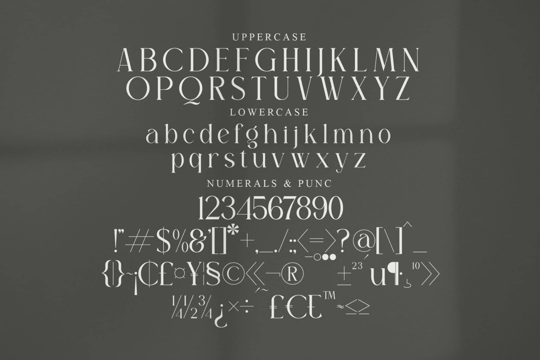Preview 13 for Sagire - Modern Serif Font