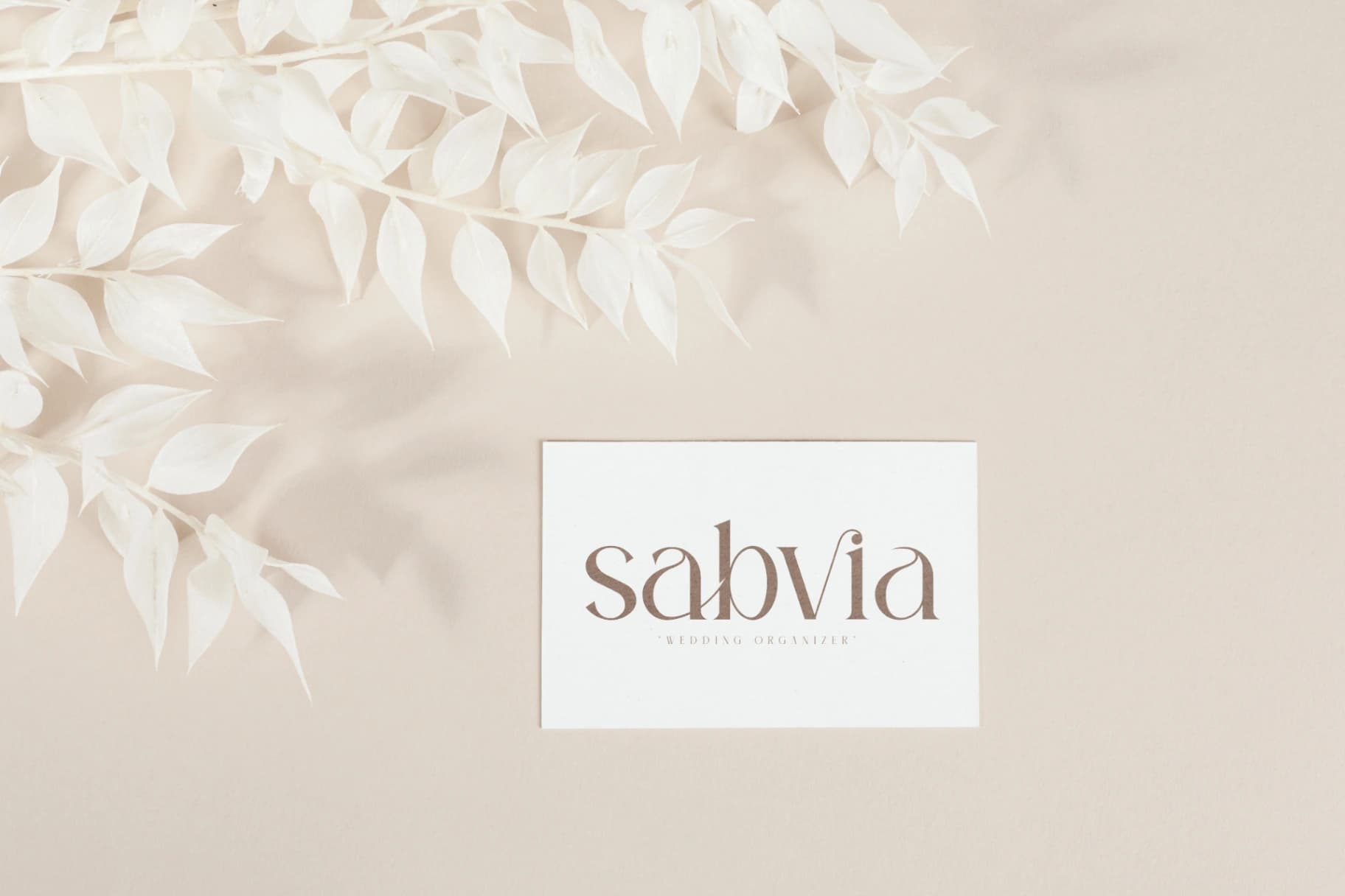 Preview 4 for Sagire - Modern Serif Font