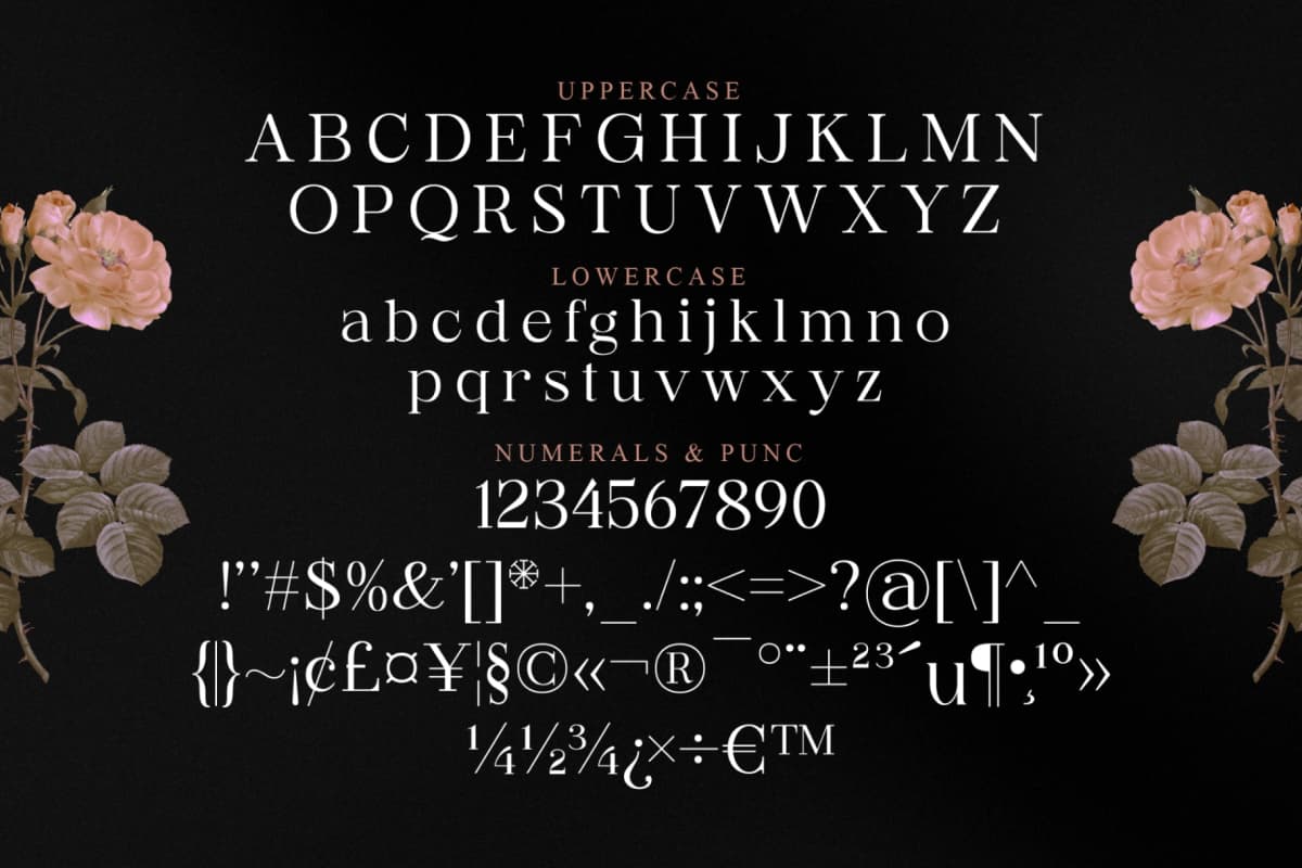 Preview 13 for Rossela - Modern Serif Font