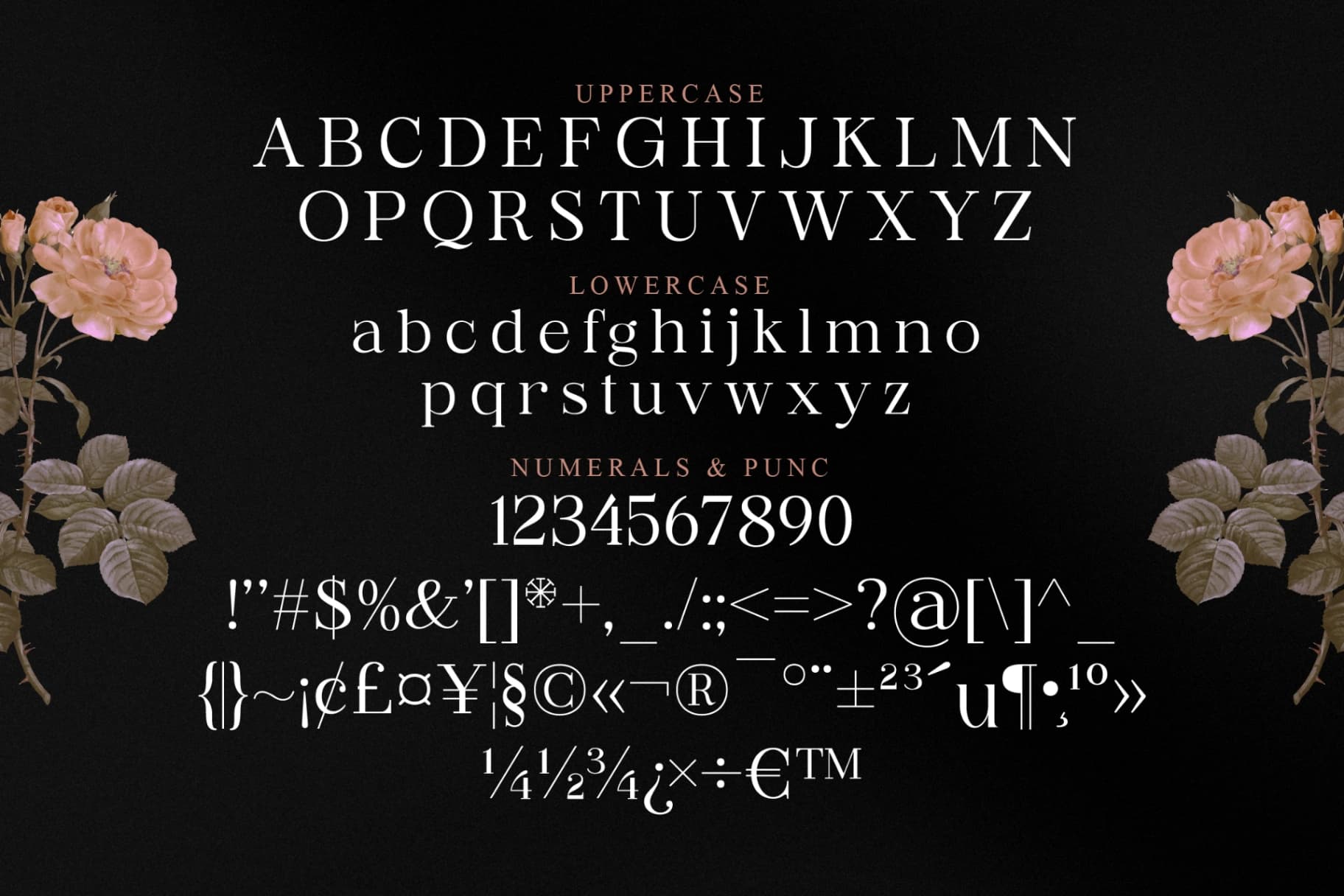 Preview 13 for Rossela - Modern Serif Font
