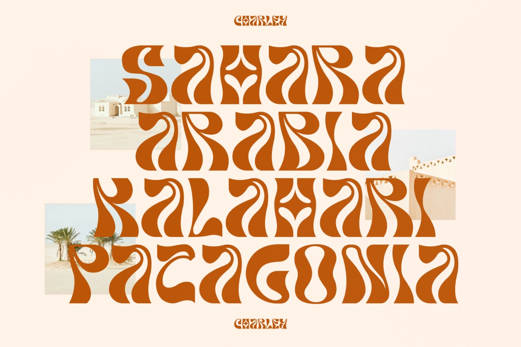 Preview 4 for Charley - Unique Display Font