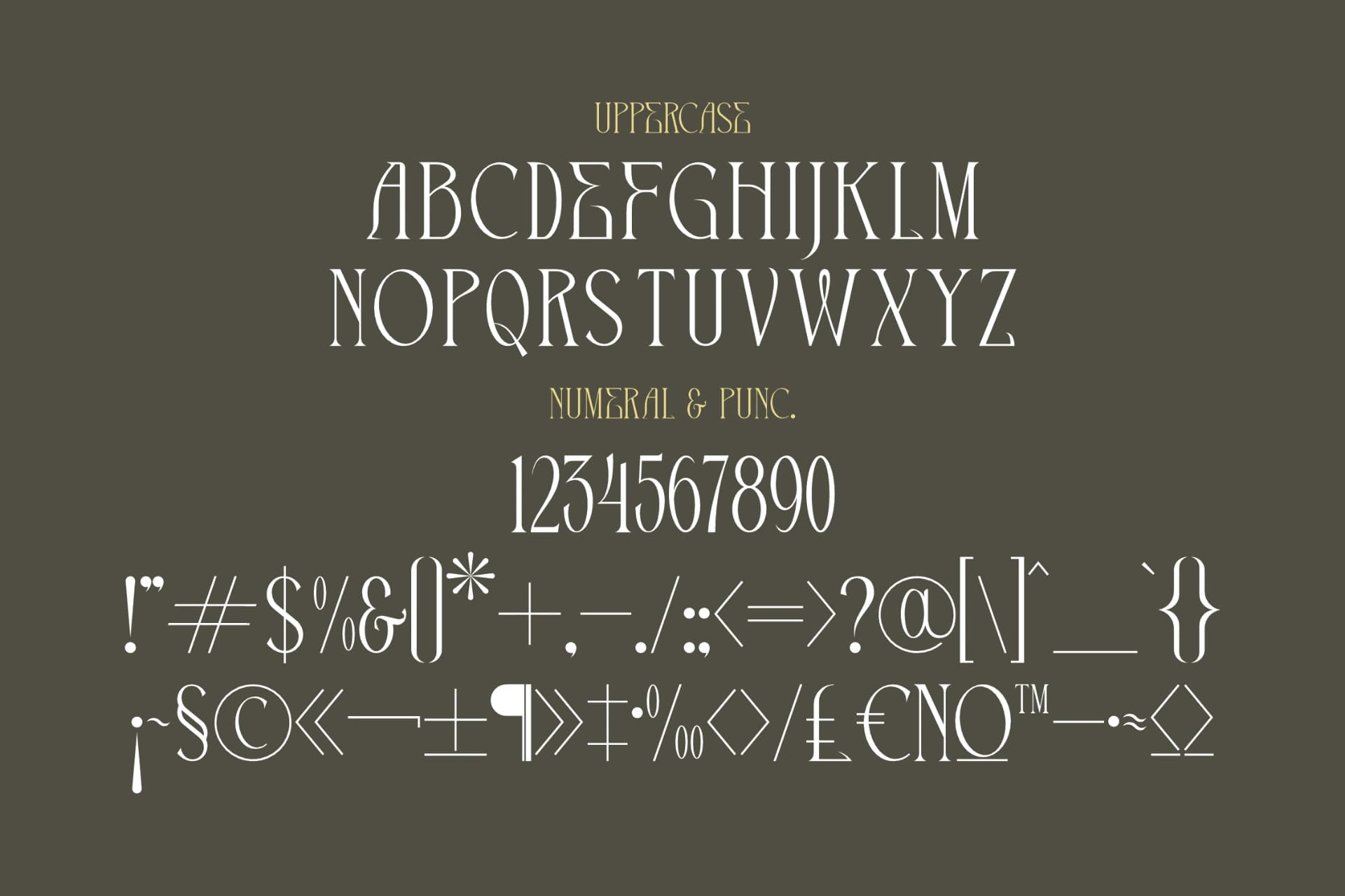 Preview 13 for The Cronicle - Serif Display Font