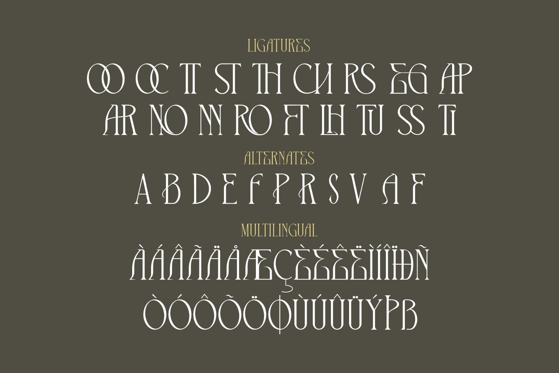 Preview 14 for The Cronicle - Serif Display Font