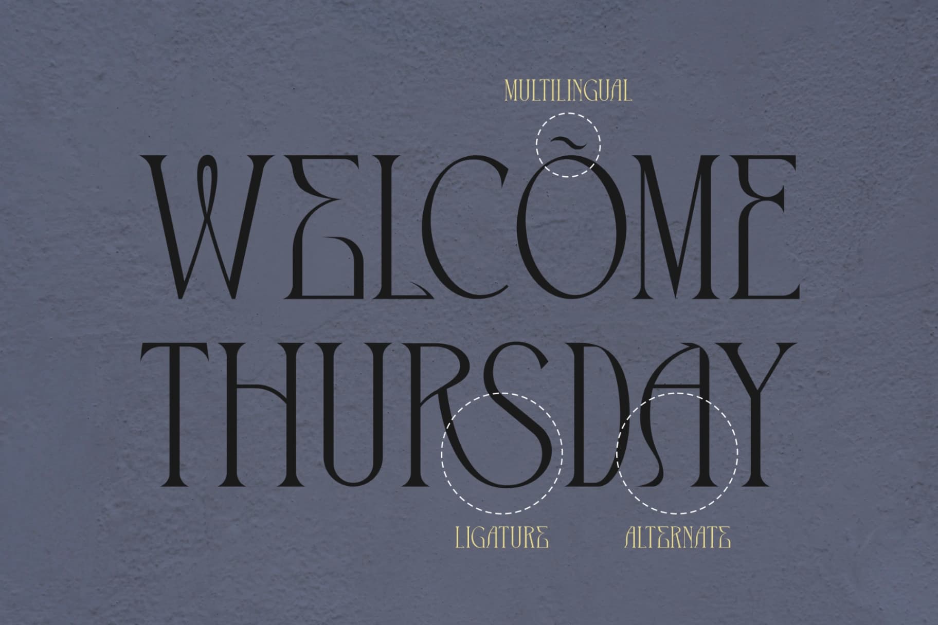 Preview 12 for The Cronicle - Serif Display Font