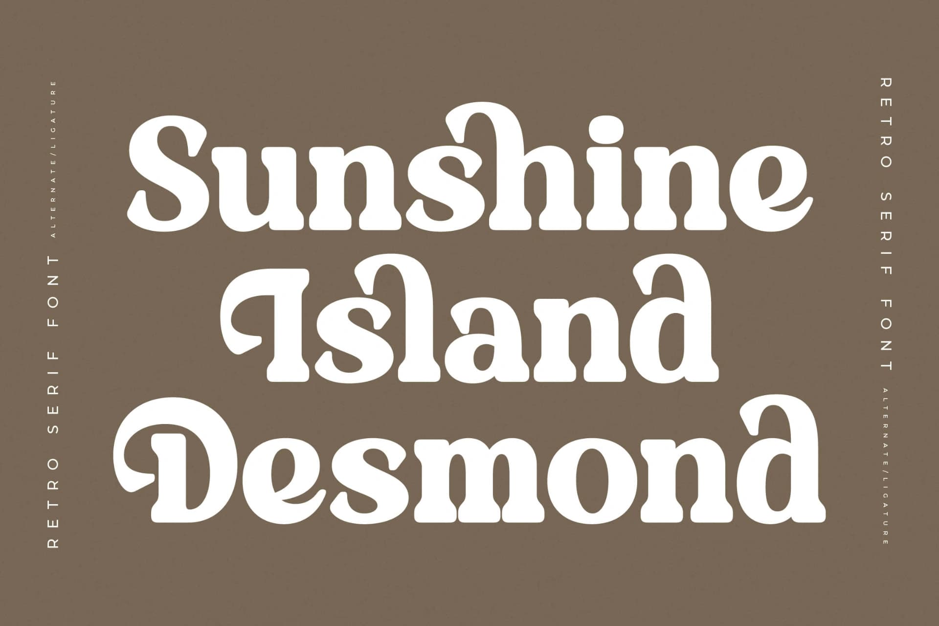 Preview 5 for Daylist Beach – Retro Serif Font