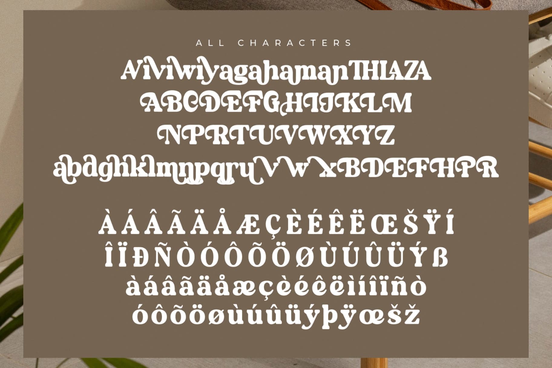 Preview 14 for Daylist Beach – Retro Serif Font