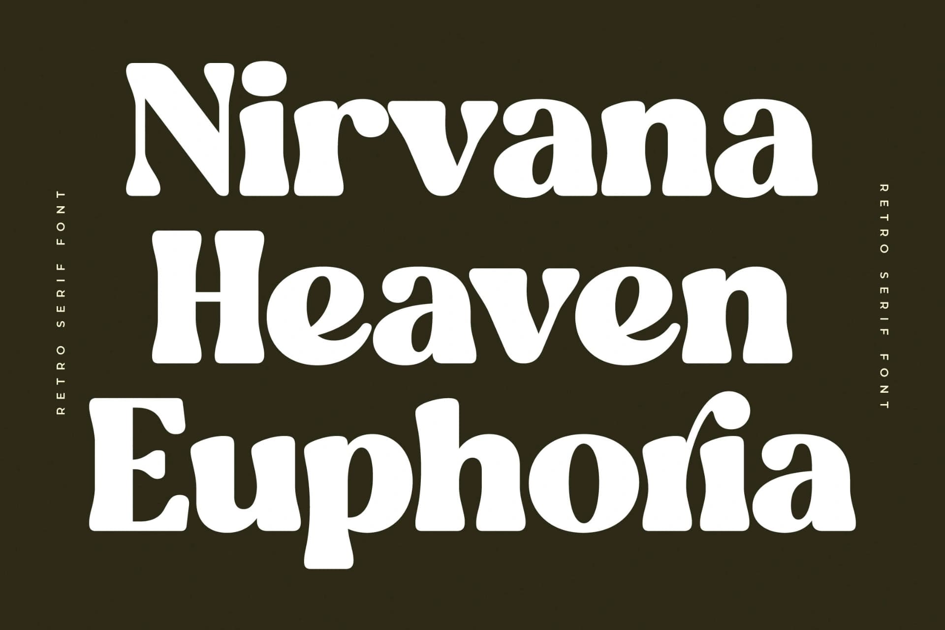 Preview 4 for Blugide - Groovy Retro Serif Font