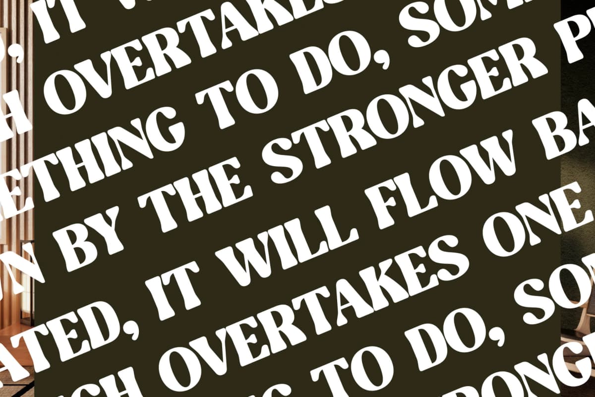 Blugide - Groovy Retro Serif Font font preview 9