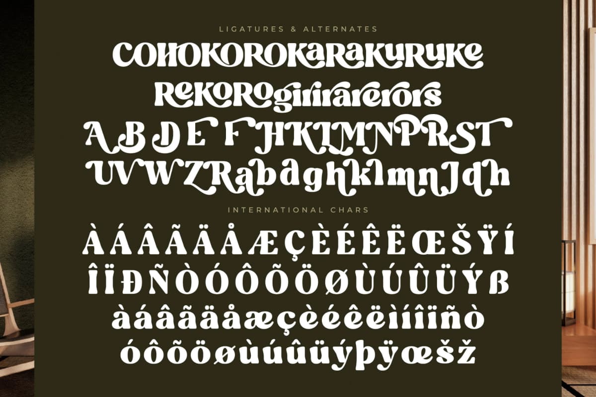 Blugide - Groovy Retro Serif Font font preview 14