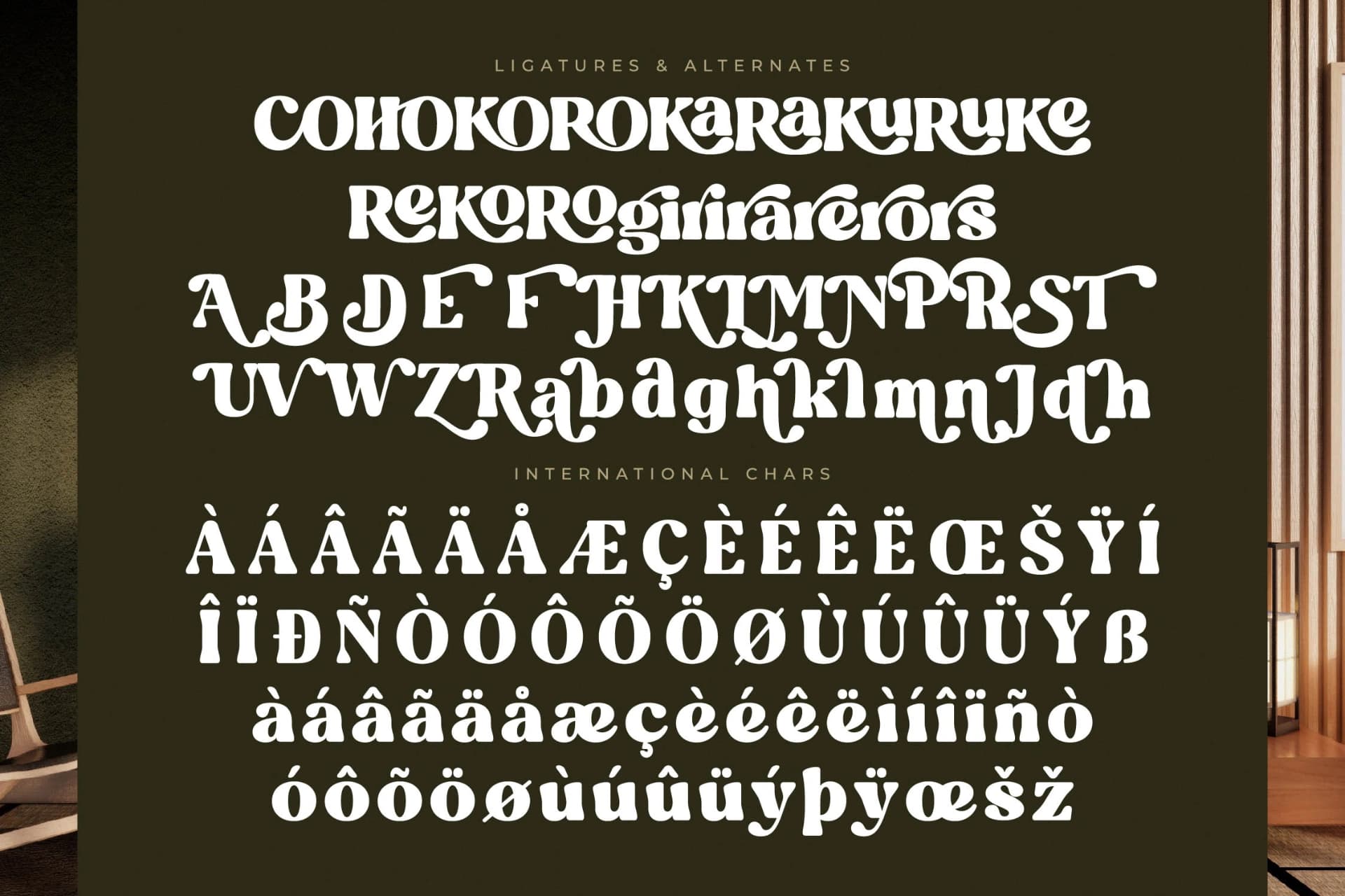 Preview 14 for Blugide - Groovy Retro Serif Font