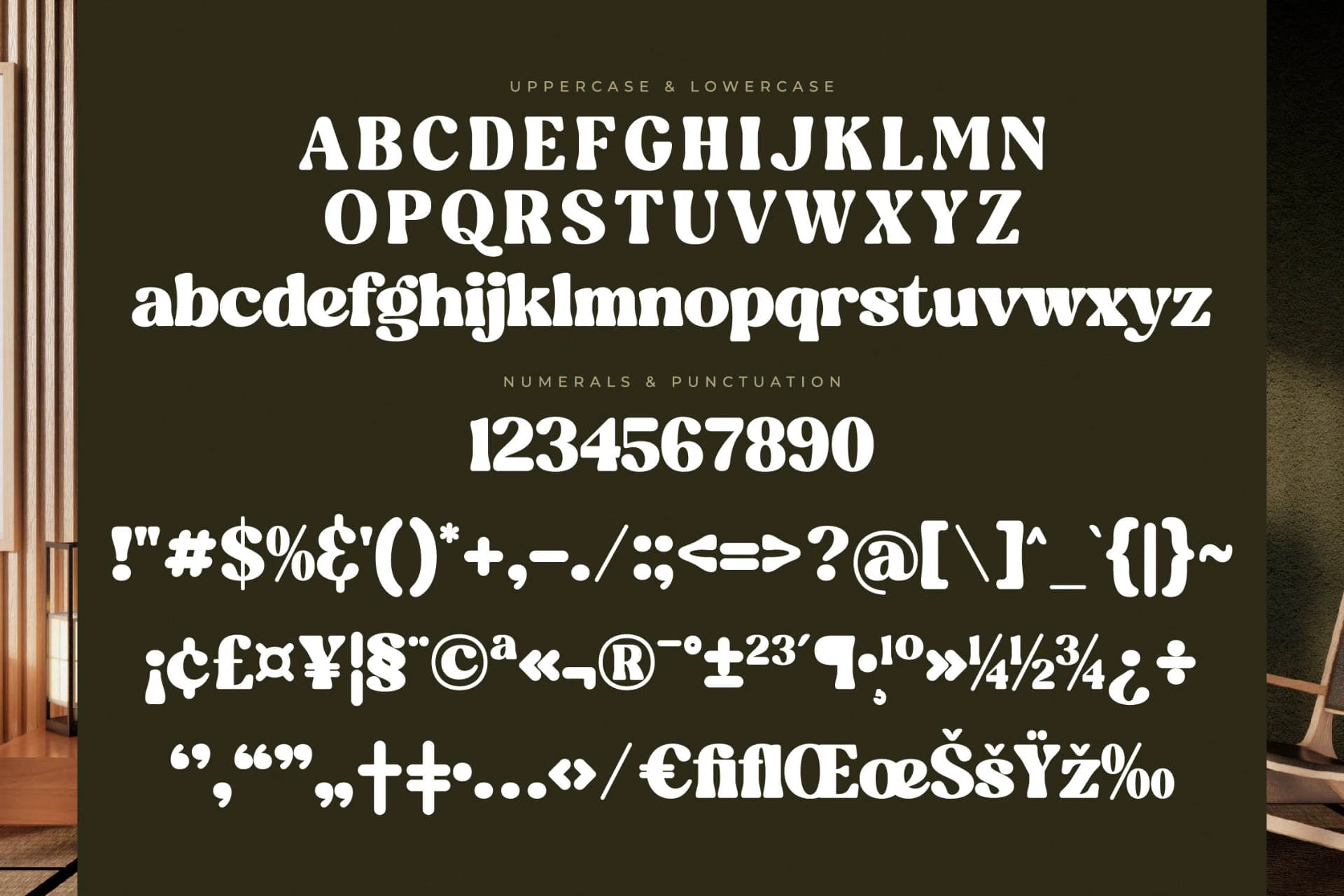 Preview 13 for Blugide - Groovy Retro Serif Font