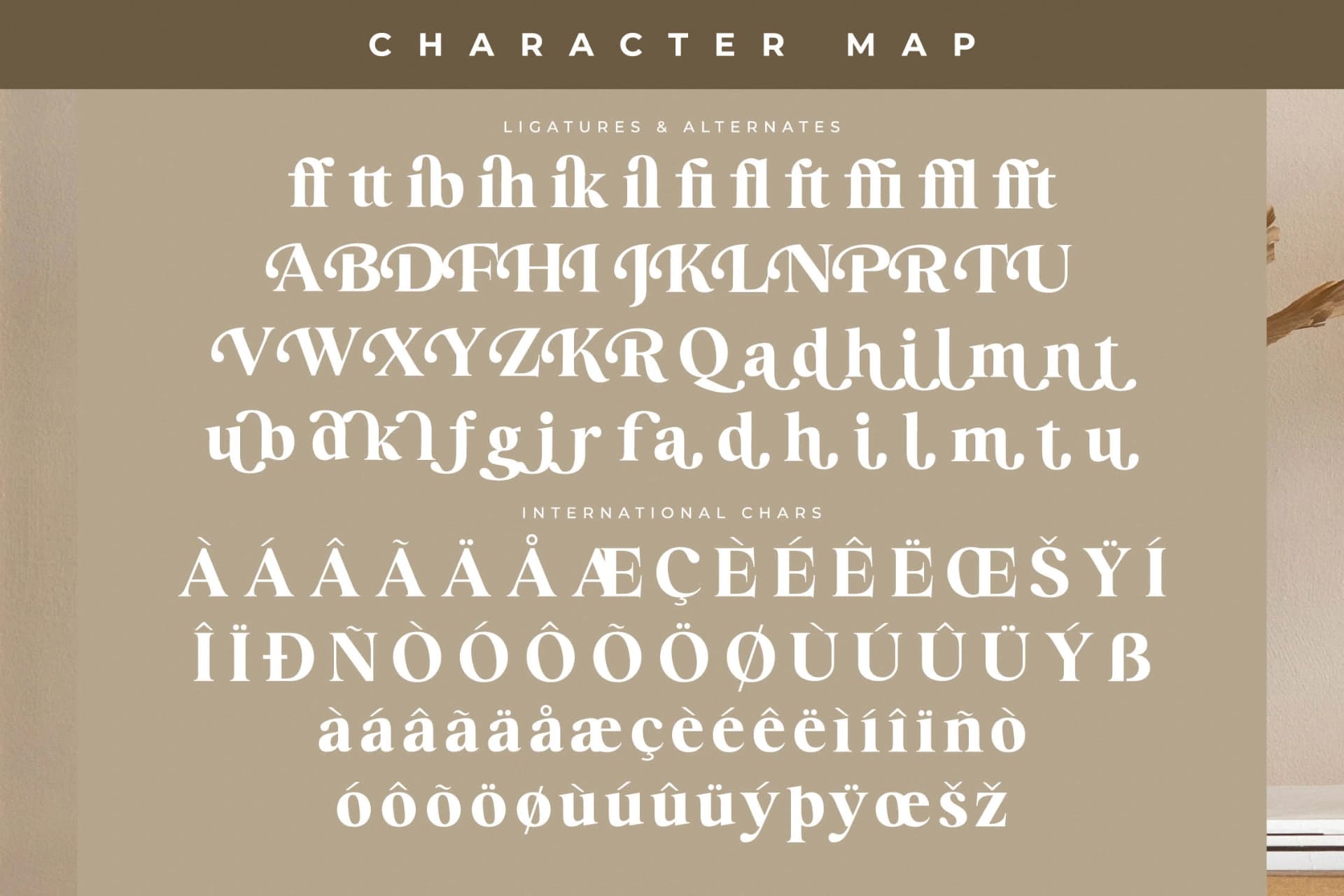 Preview 14 for Brilyan Rogale – Modern Vintage Serif