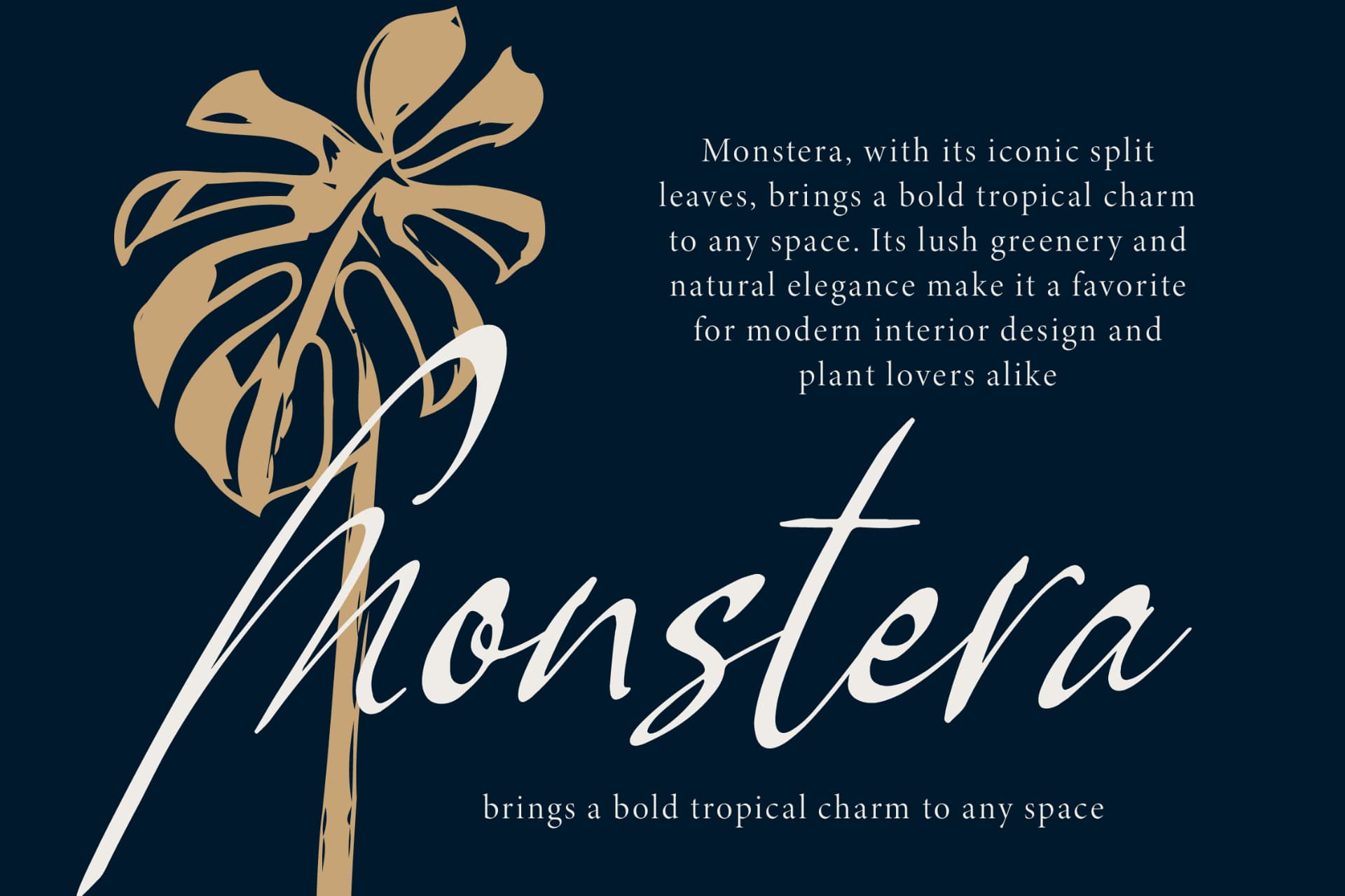 Preview 8 for Pamric Mevira – Handwritten Ink Font