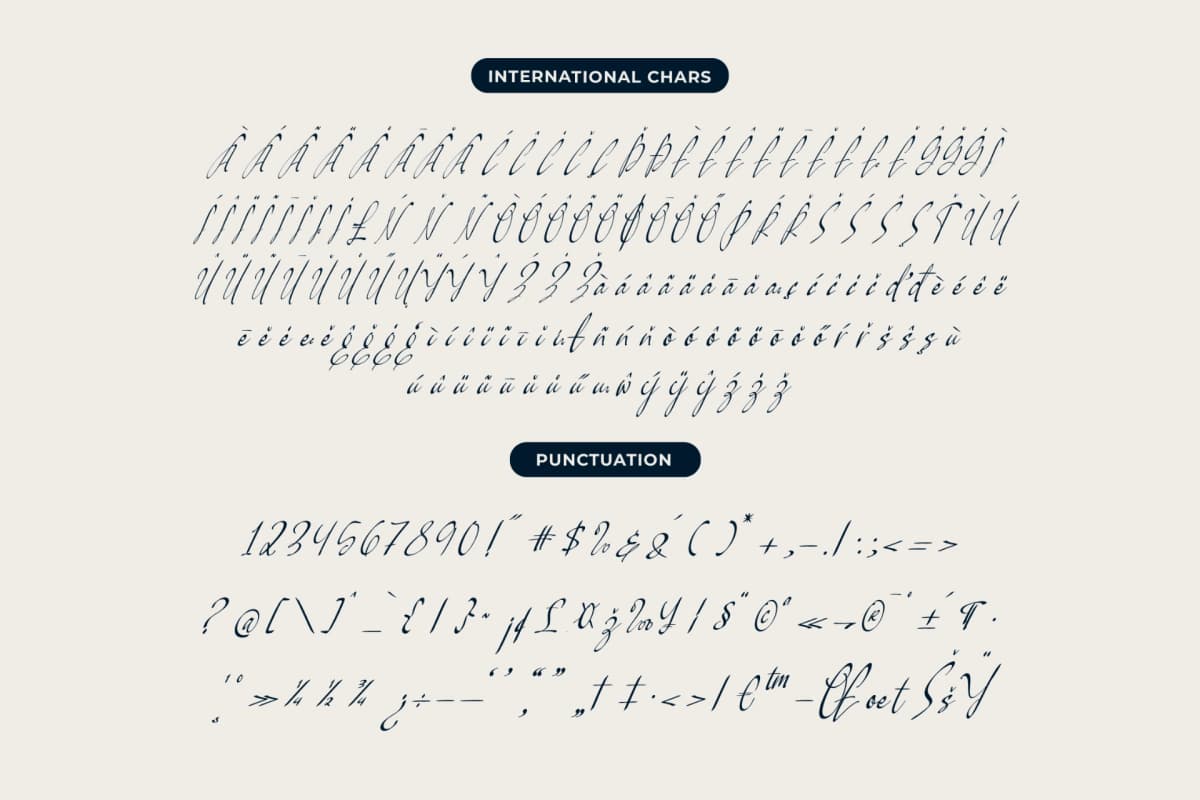 Preview 13 for Pamric Mevira – Handwritten Ink Font