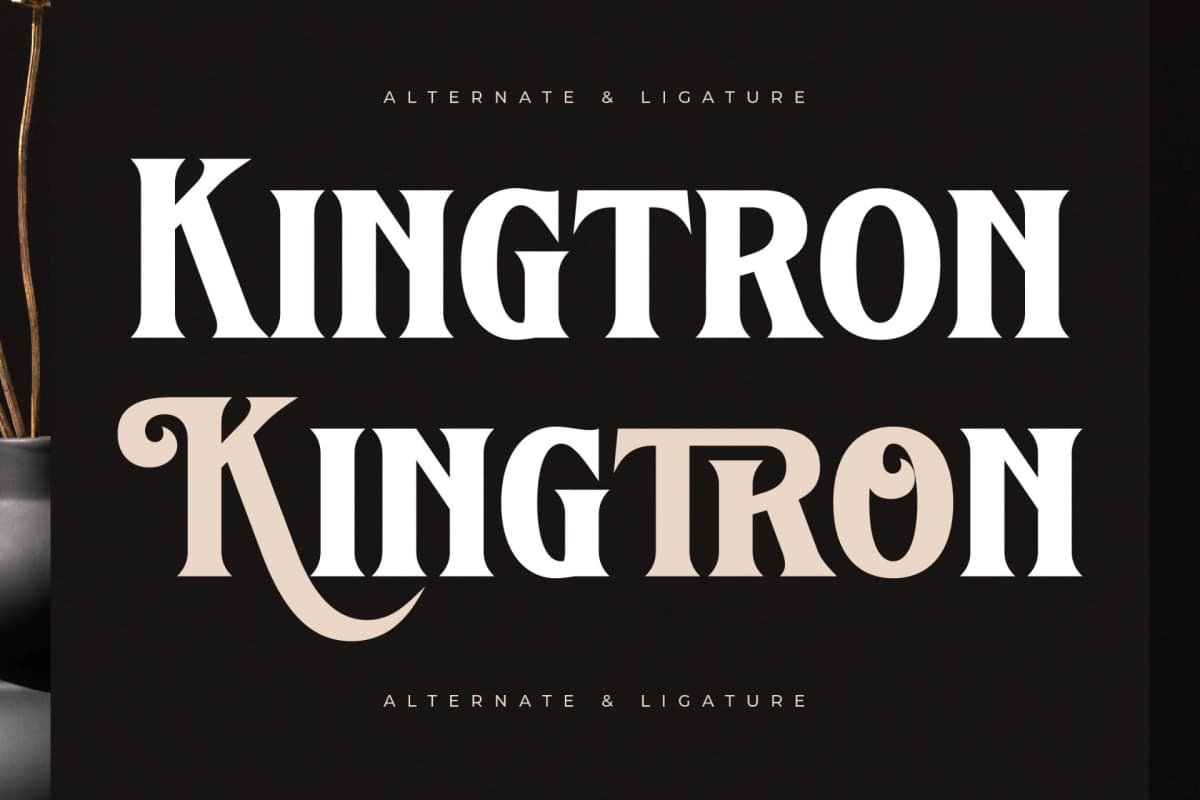 Kingtron – Modern Serif Display font preview 7